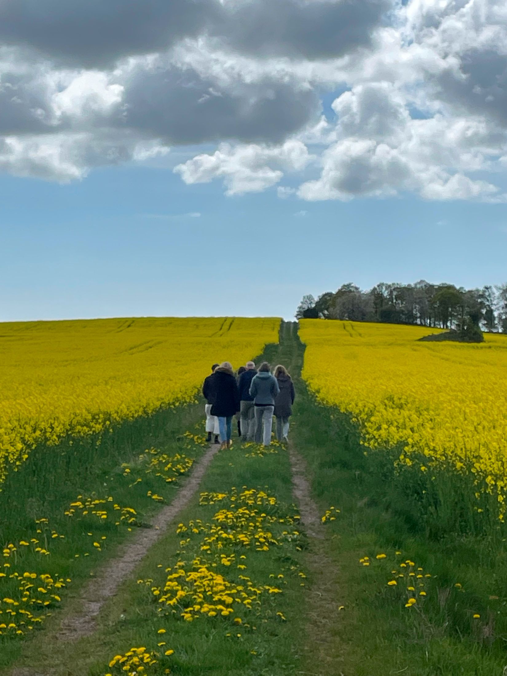 Gård/Skog, Sörby 236, Vessigebro, Falkenberg