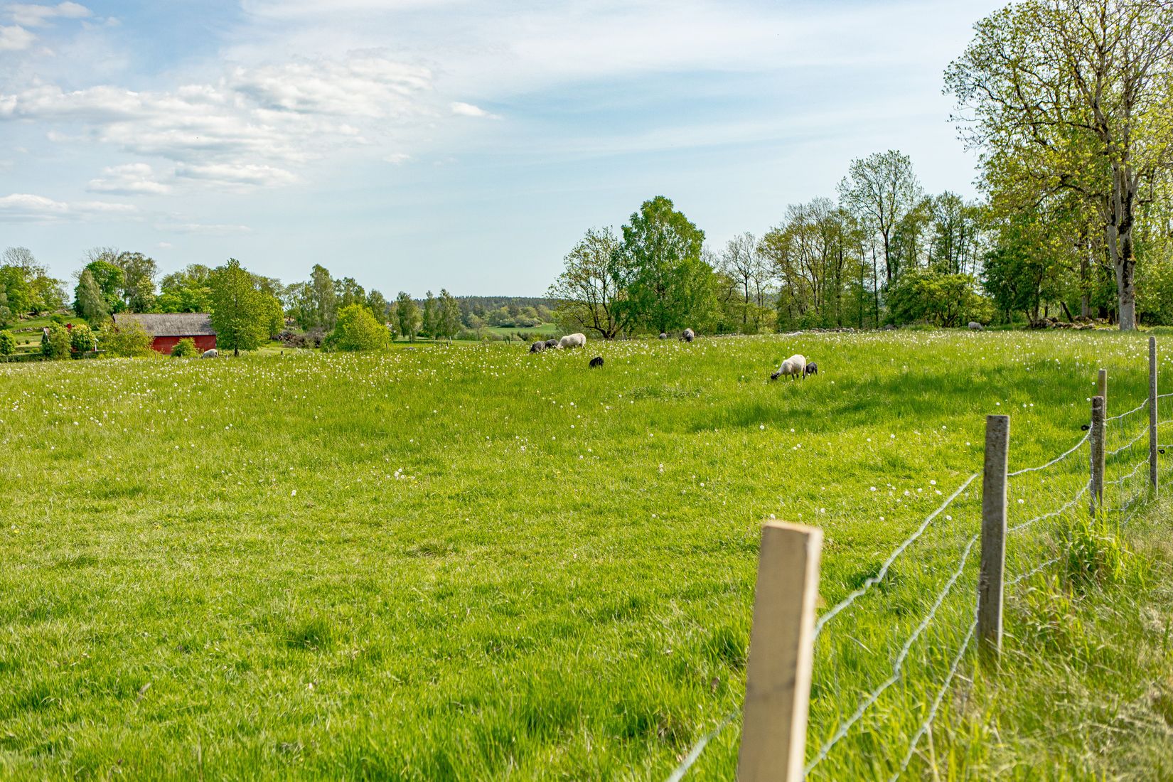 Gård/Skog, Sörby 236, Vessigebro, Falkenberg