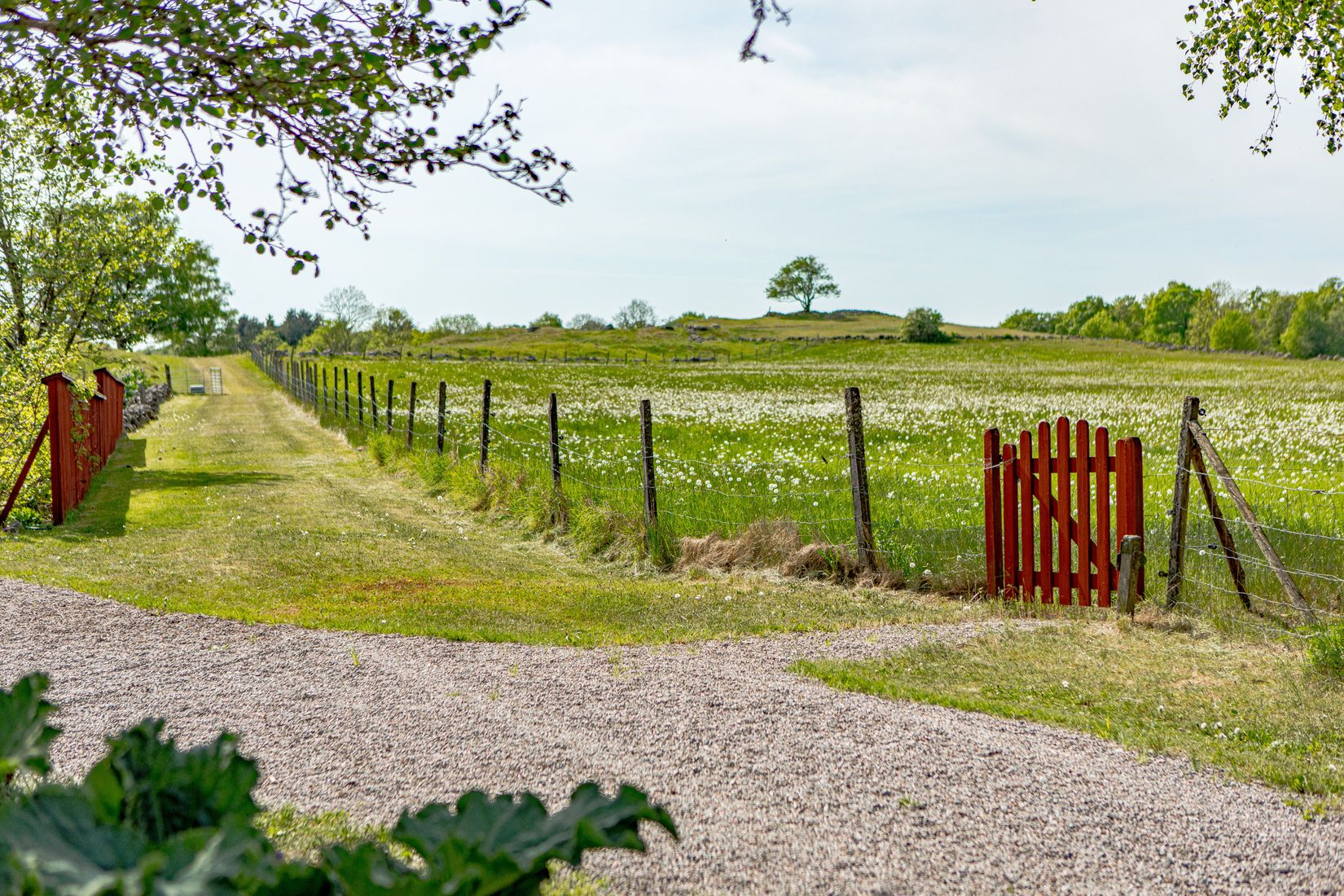Gård/Skog, Sörby 236, Vessigebro, Falkenberg