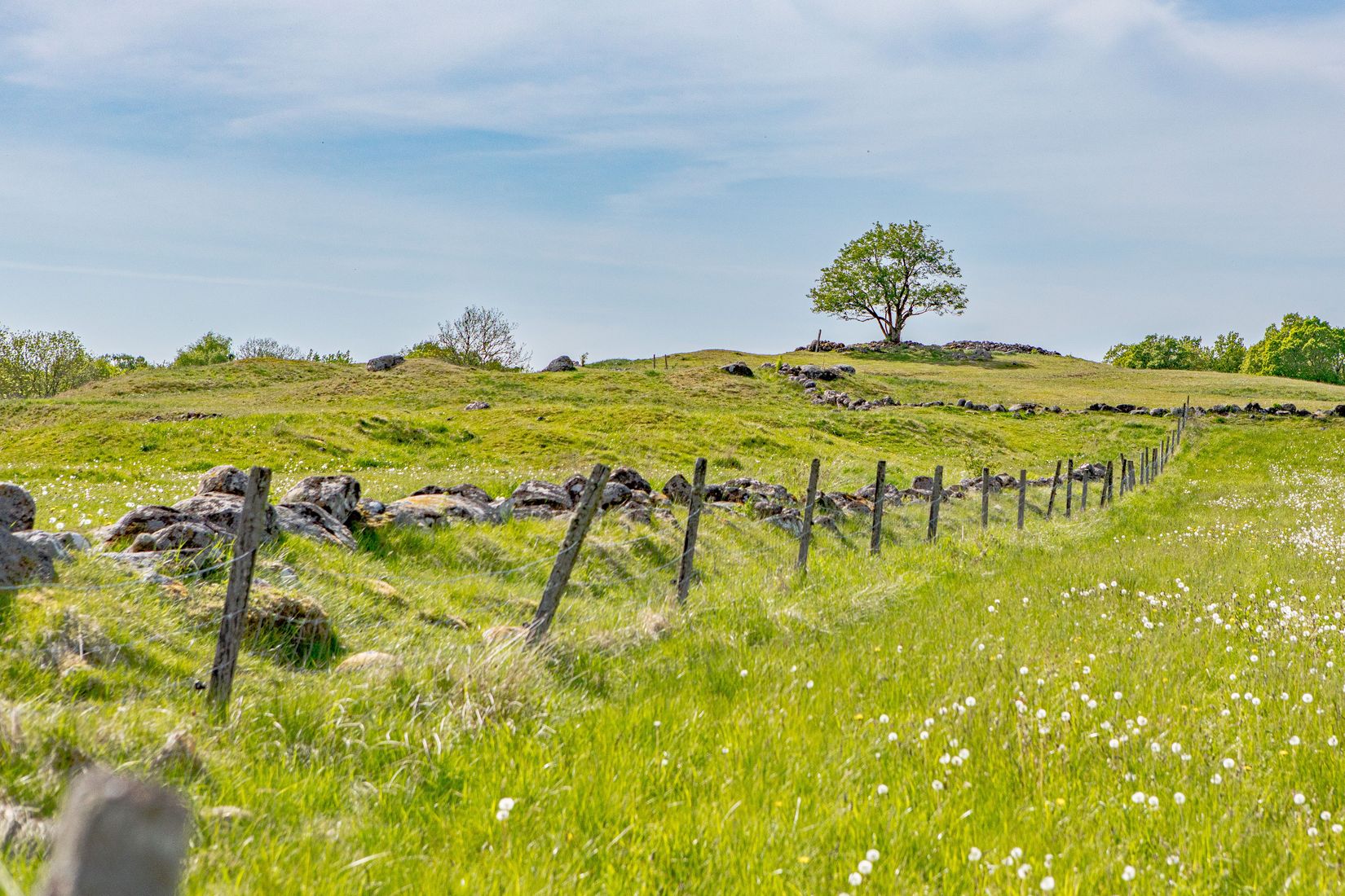Gård/Skog, Sörby 236, Vessigebro, Falkenberg