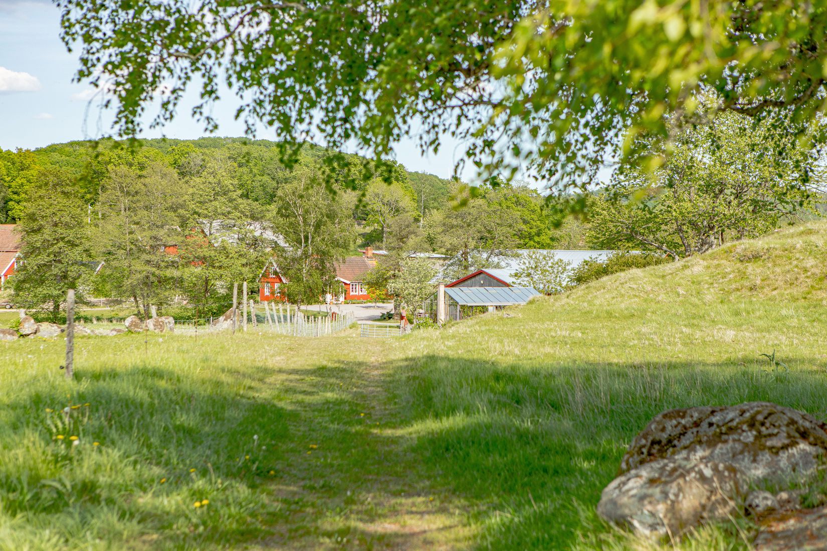 Gård/Skog, Sörby 236, Vessigebro, Falkenberg