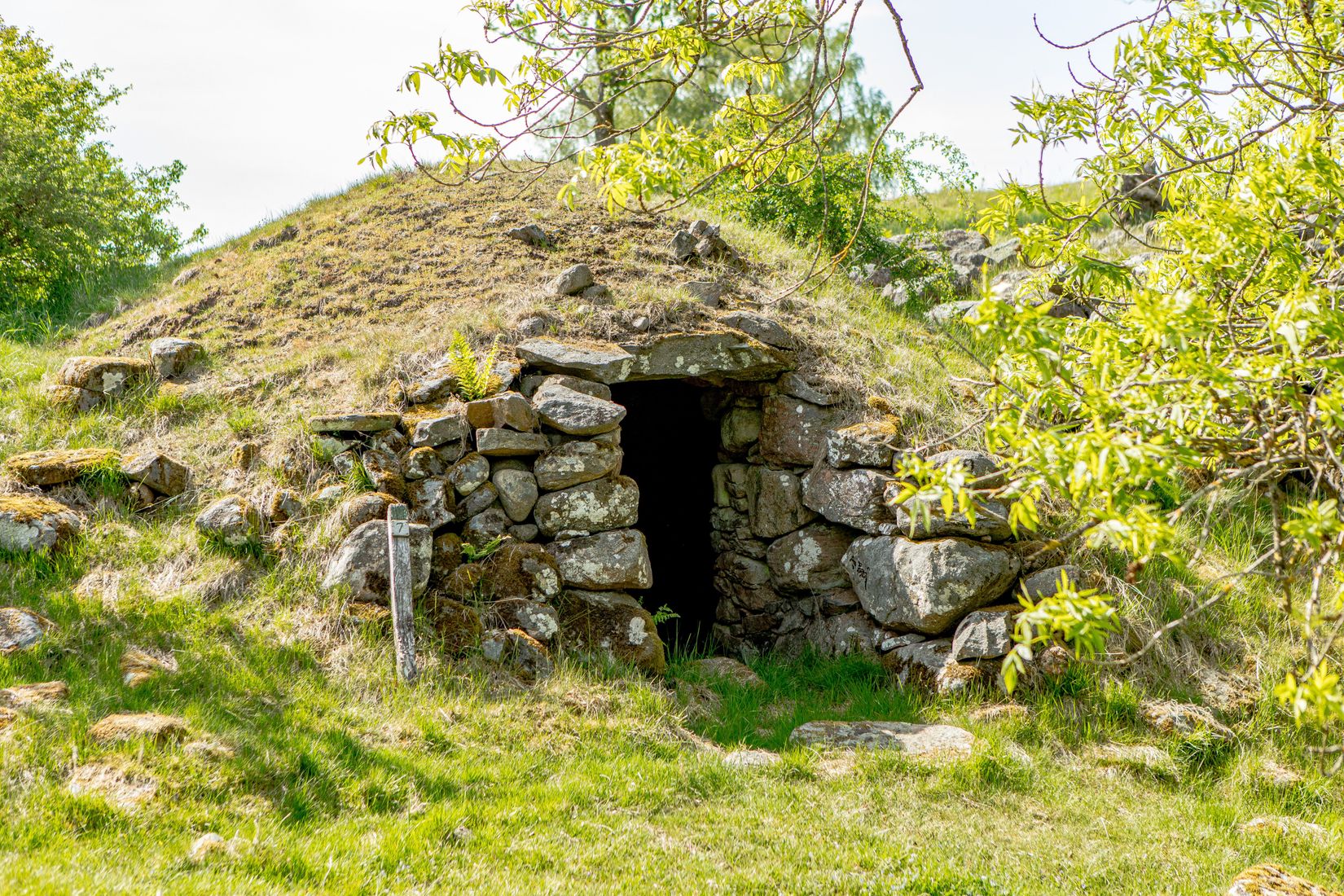 Gård/Skog, Sörby 236, Vessigebro, Falkenberg