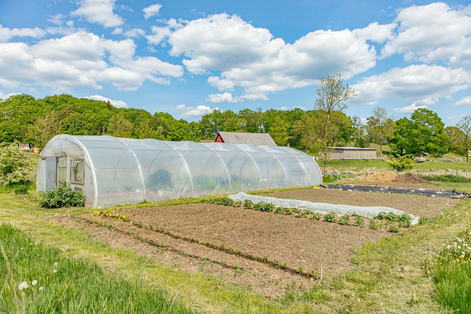 Gård/Skog, Sörby 236, Vessigebro, Falkenberg