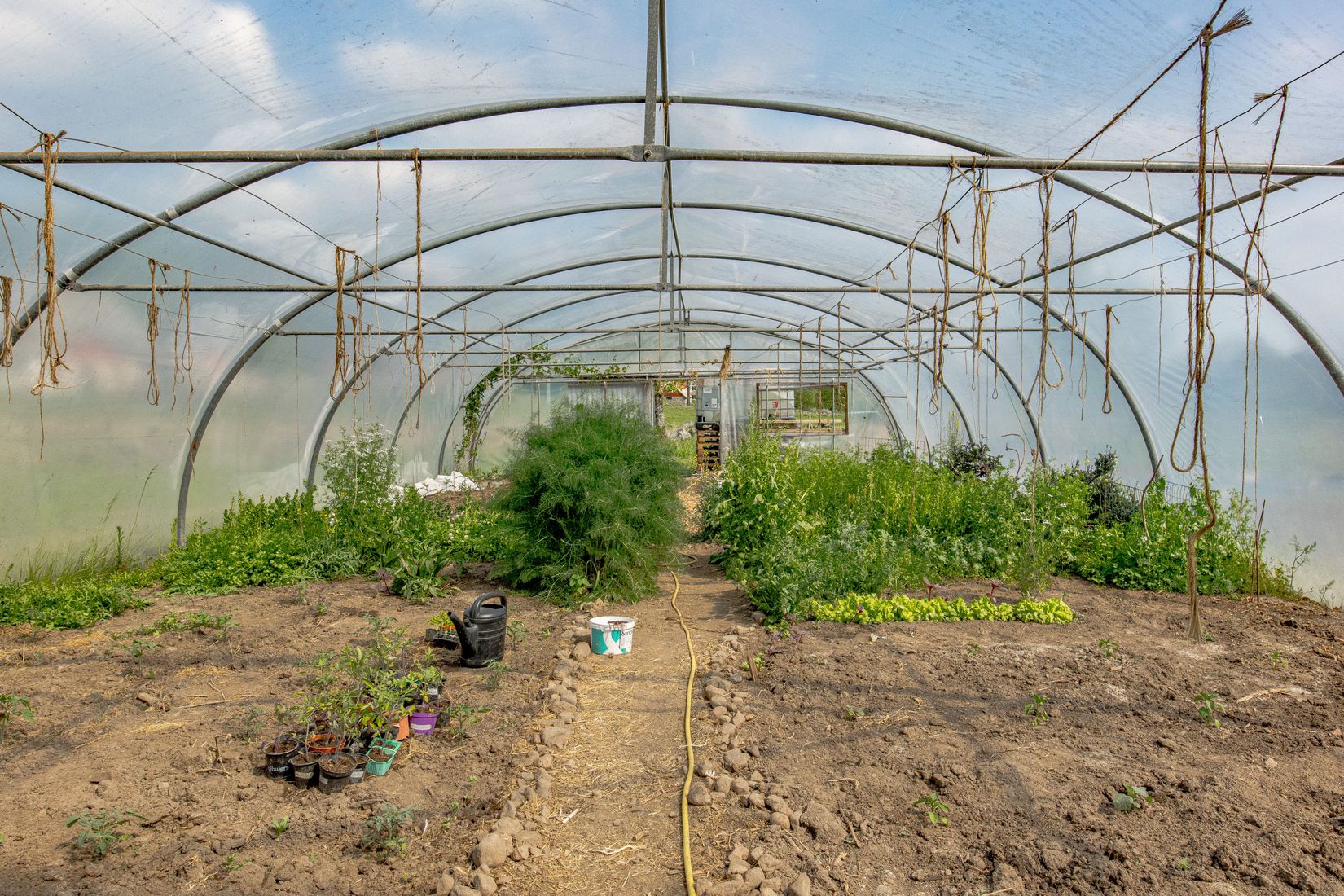 Gård/Skog, Sörby 236, Vessigebro, Falkenberg