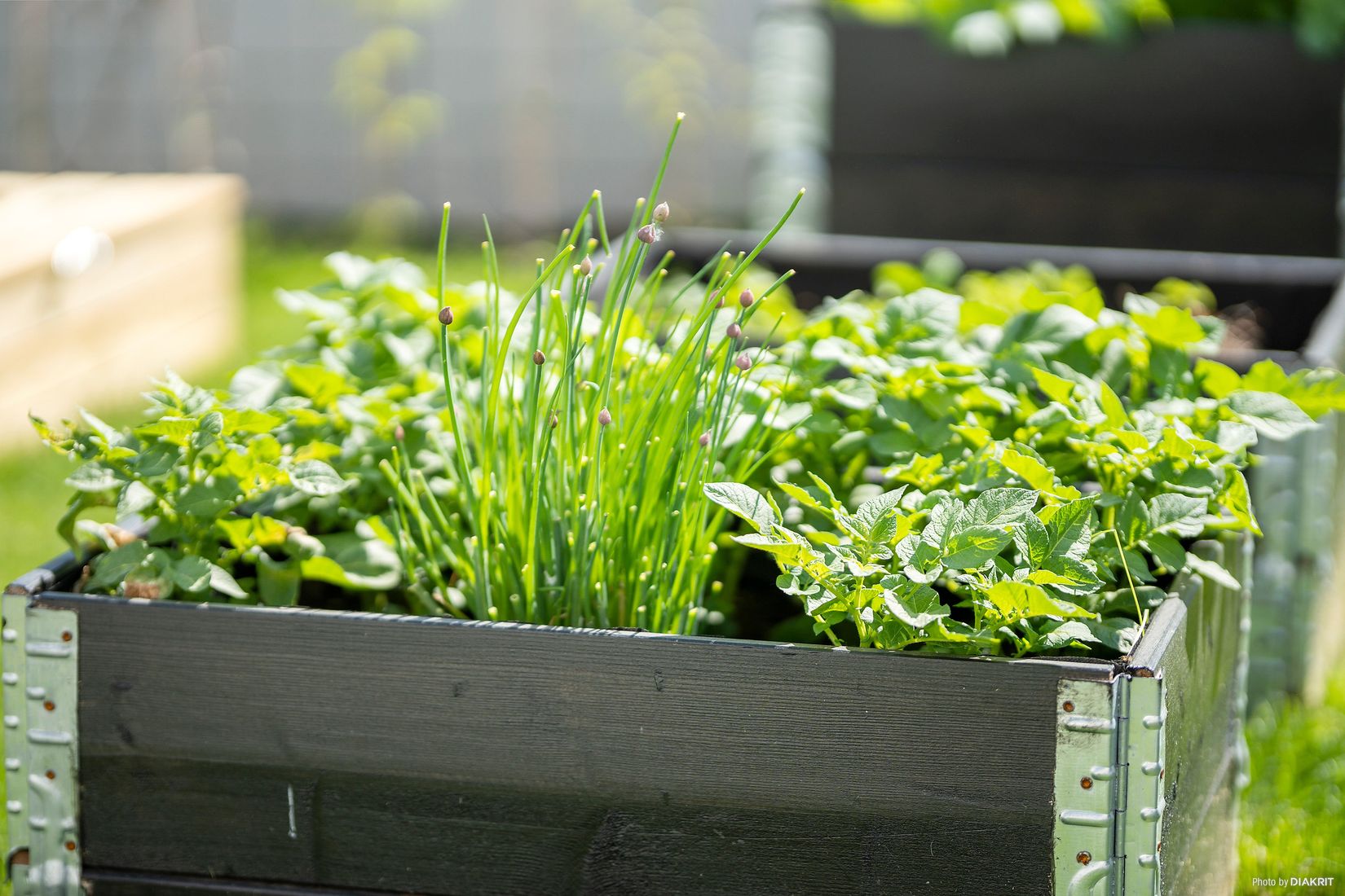 Radhus, Björnmossvägen 33, Lindbacken, Uppsala