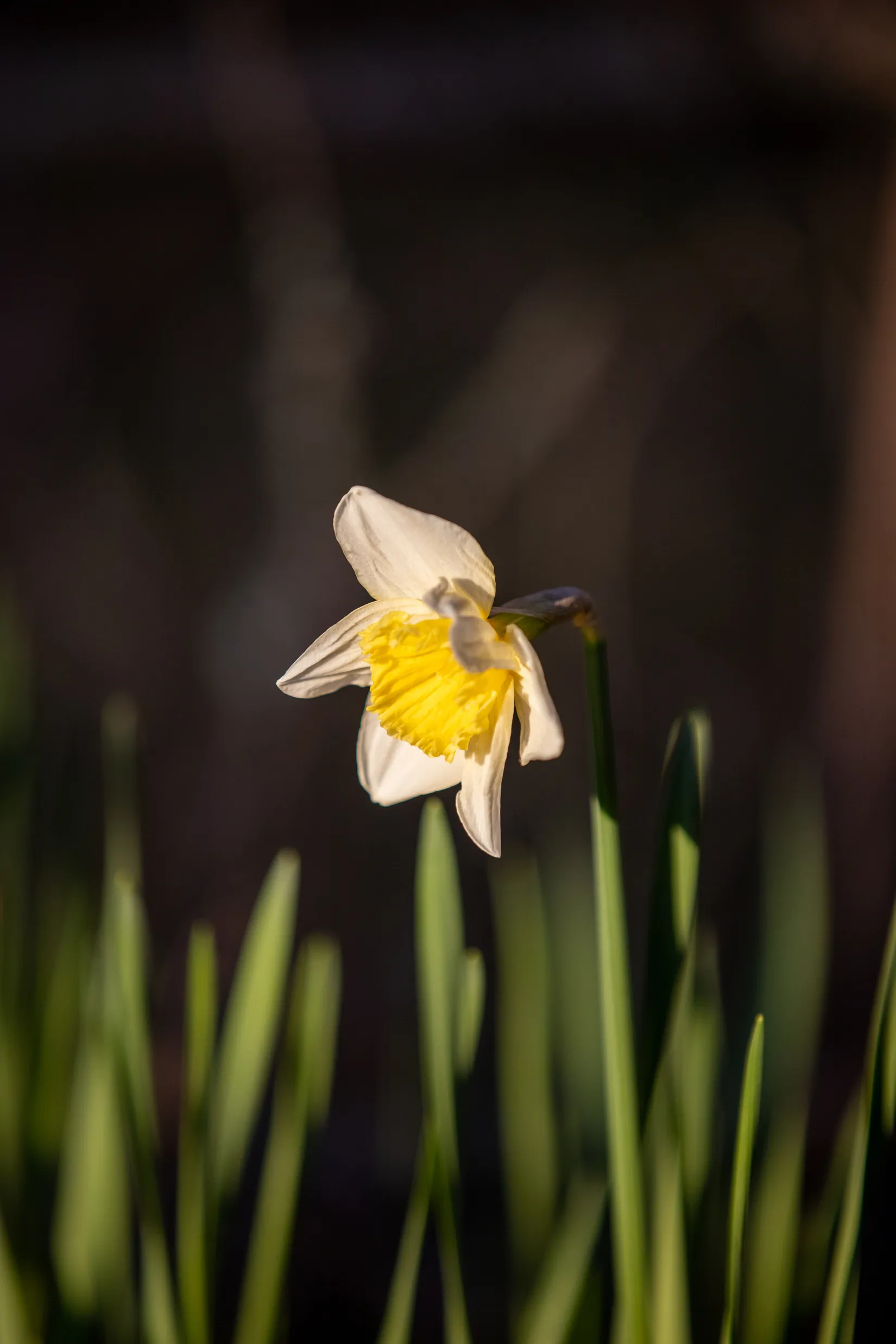 Fritidshus, Axelines väg 218, Skutberget, Karlstad