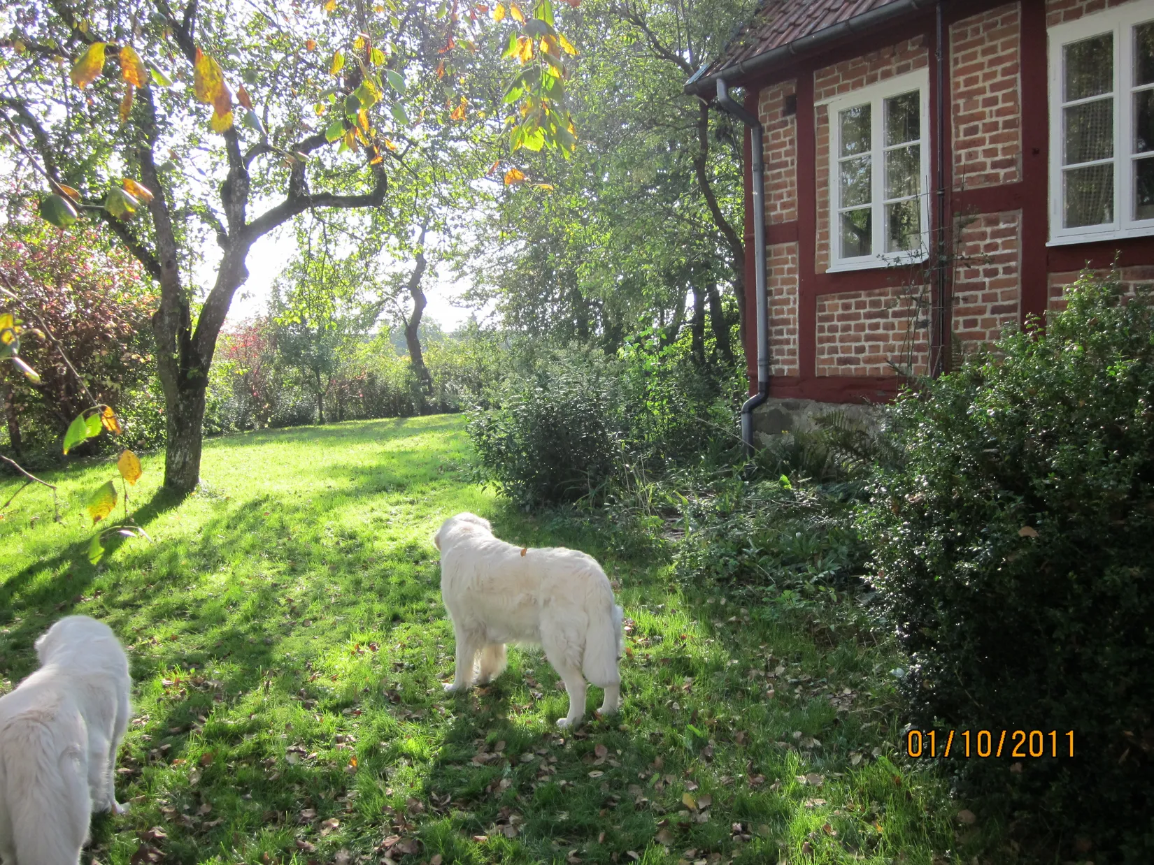 Villa, Lövestad Byaväg 18, Lövestad, Sjöbo