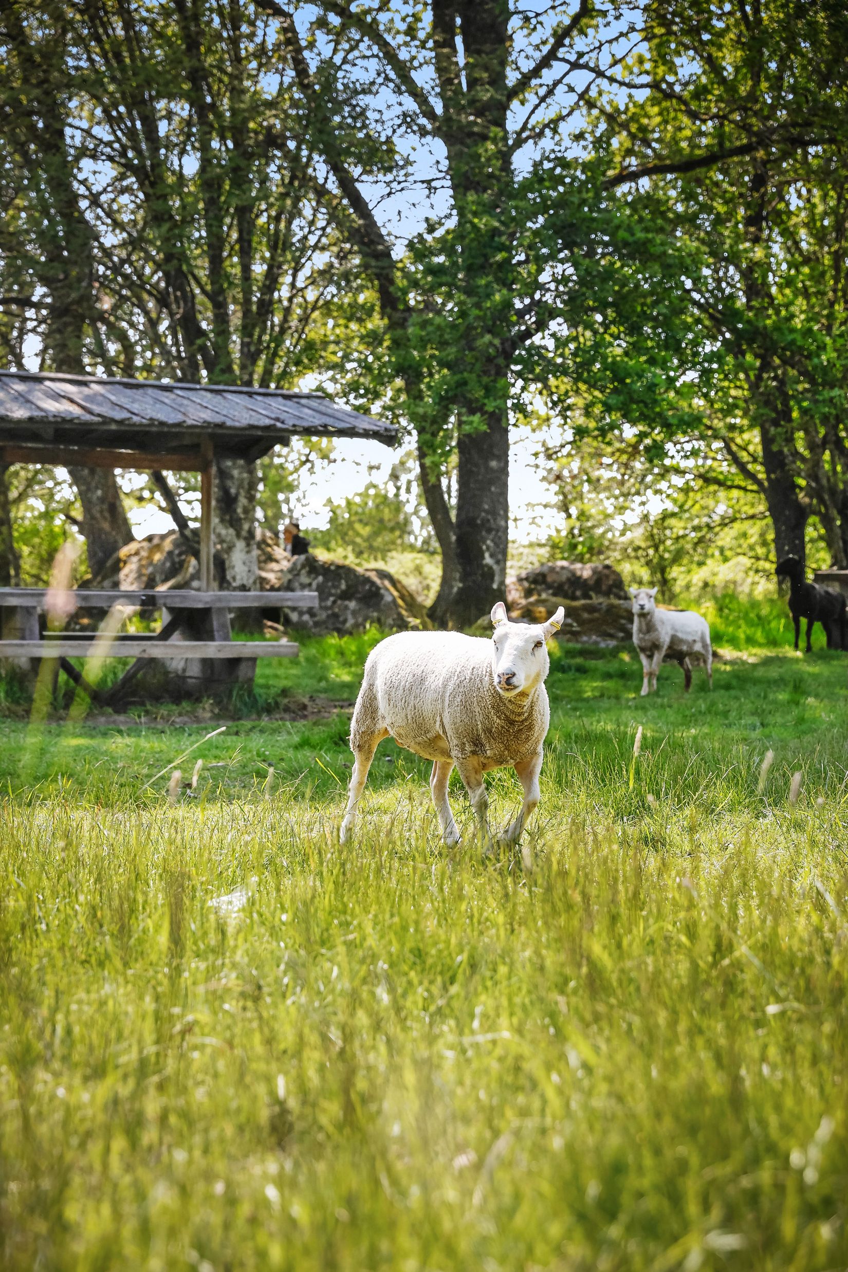 Bostadsrätt, Ridderstads gata 30, Berga, Linköping