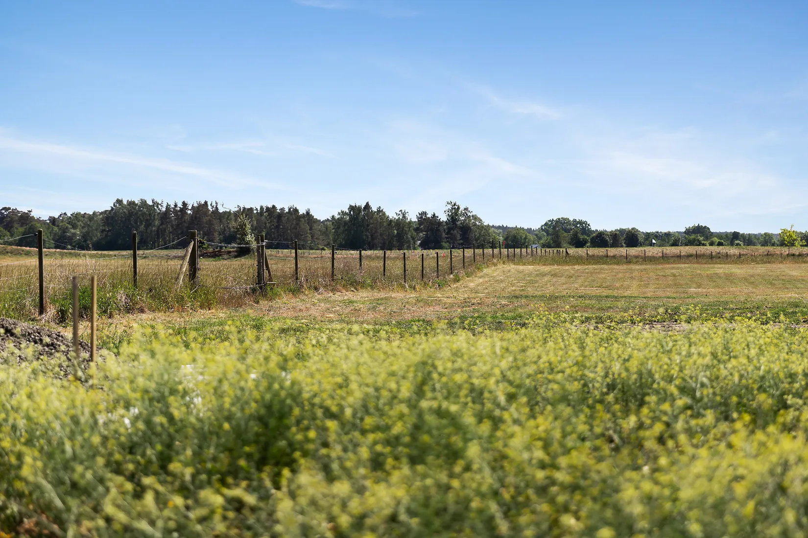 Tomt, Ripavägen 97, Åhus, Kristianstad