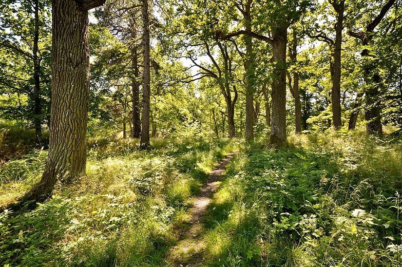 Bostadsrätt, De la gardies väg 3, Gustavsberg - Farsta Slottsvik, Värmdö
