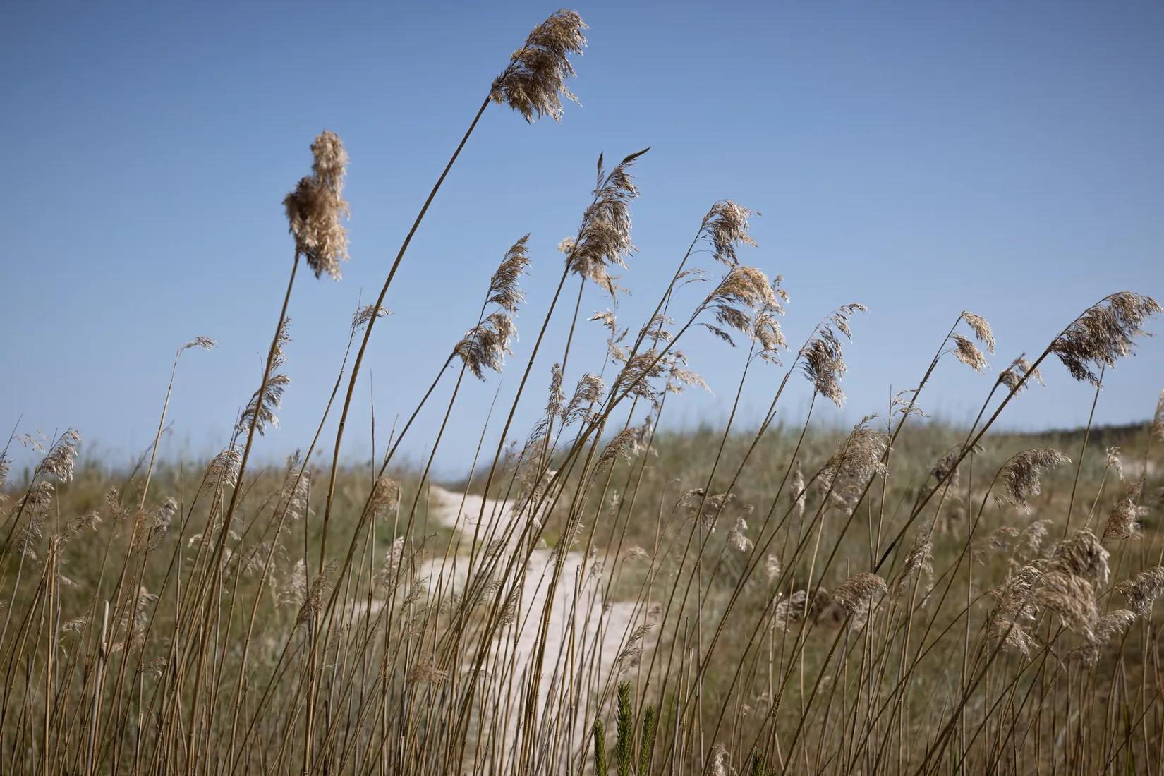 Tomt, Boge Friggars 158B, Boge, Gotland