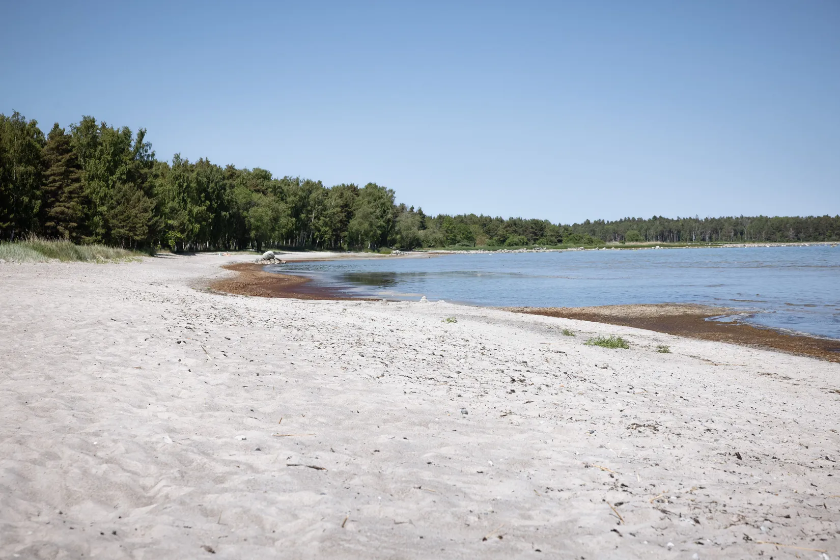 Tomt, Boge Friggars 158B, Boge, Gotland