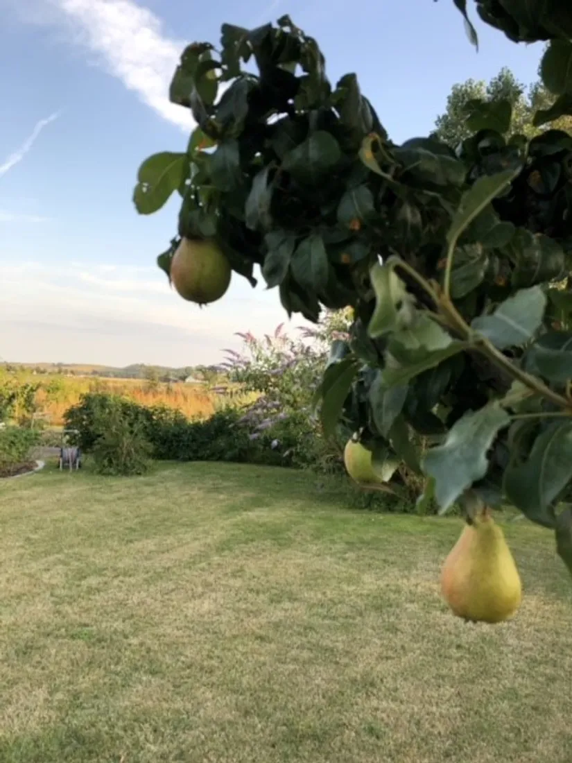 Villa, Peppingevägen 202, Peppinge, Ystad