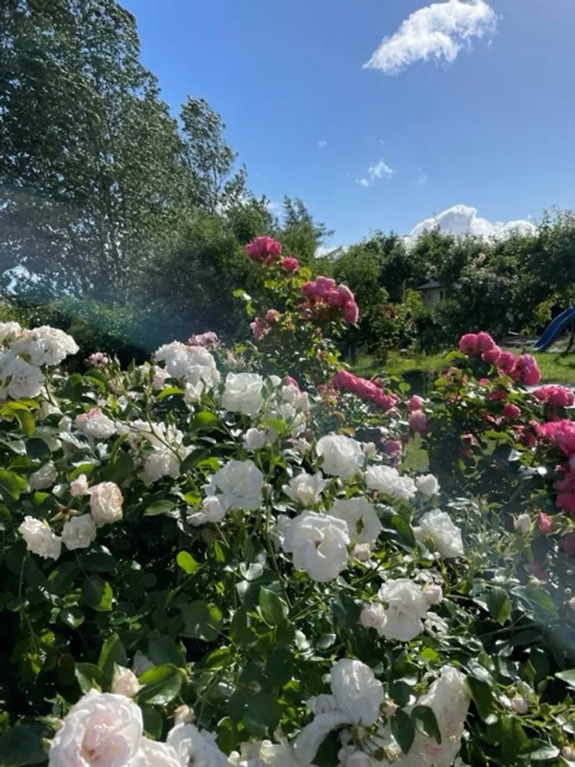 Villa, Peppingevägen 202, Peppinge, Ystad