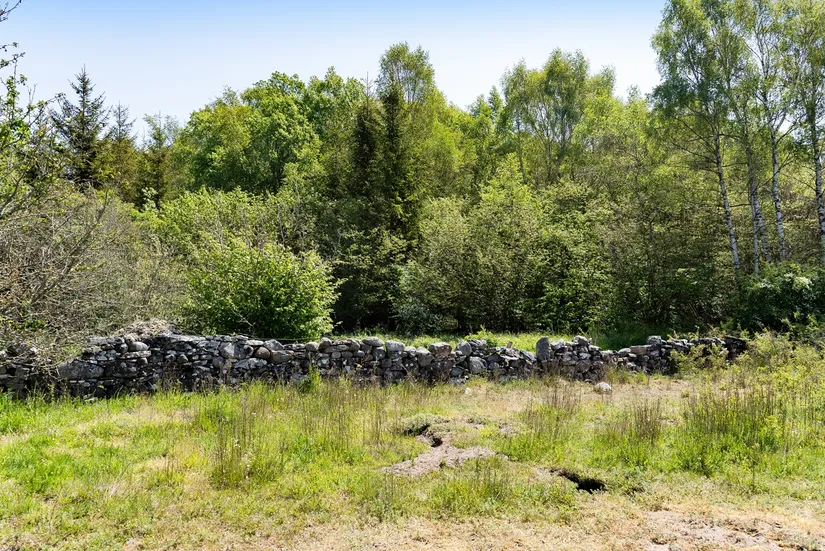 Tomt, Hamra Sallmunds 2:1 (del av skifte 6), Hamra, Gotland