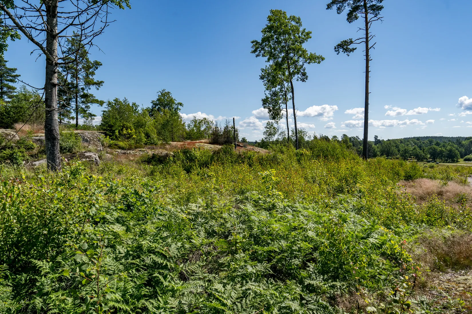 Tomt, Åviken, Askersund