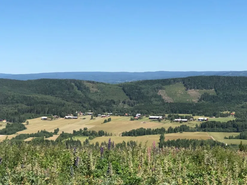 Tomt, Björnbäcken 28, Rottneros, Sunne