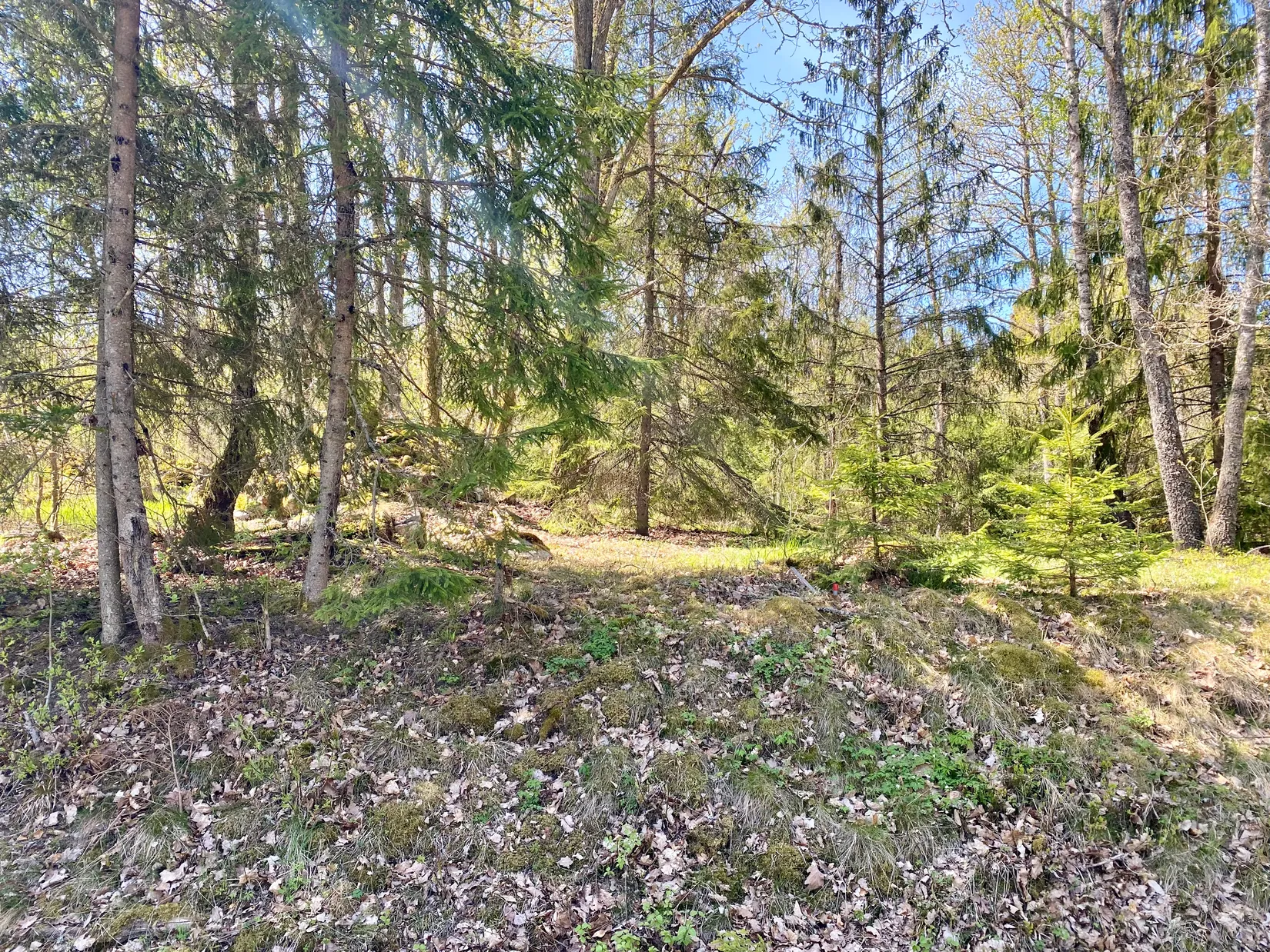 Tomt, Tillfälle att förvärva en tomt i Betet, Tingsryd., Tingsryd