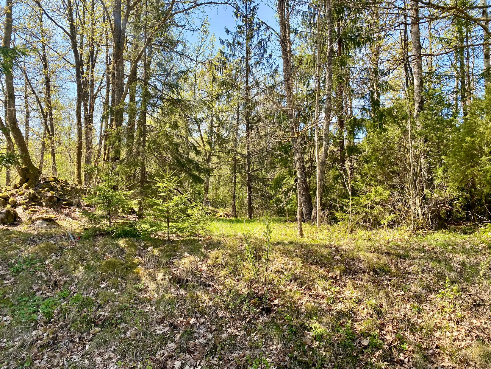 Tomt, Tillfälle att förvärva en tomt i Betet, Tingsryd., Tingsryd