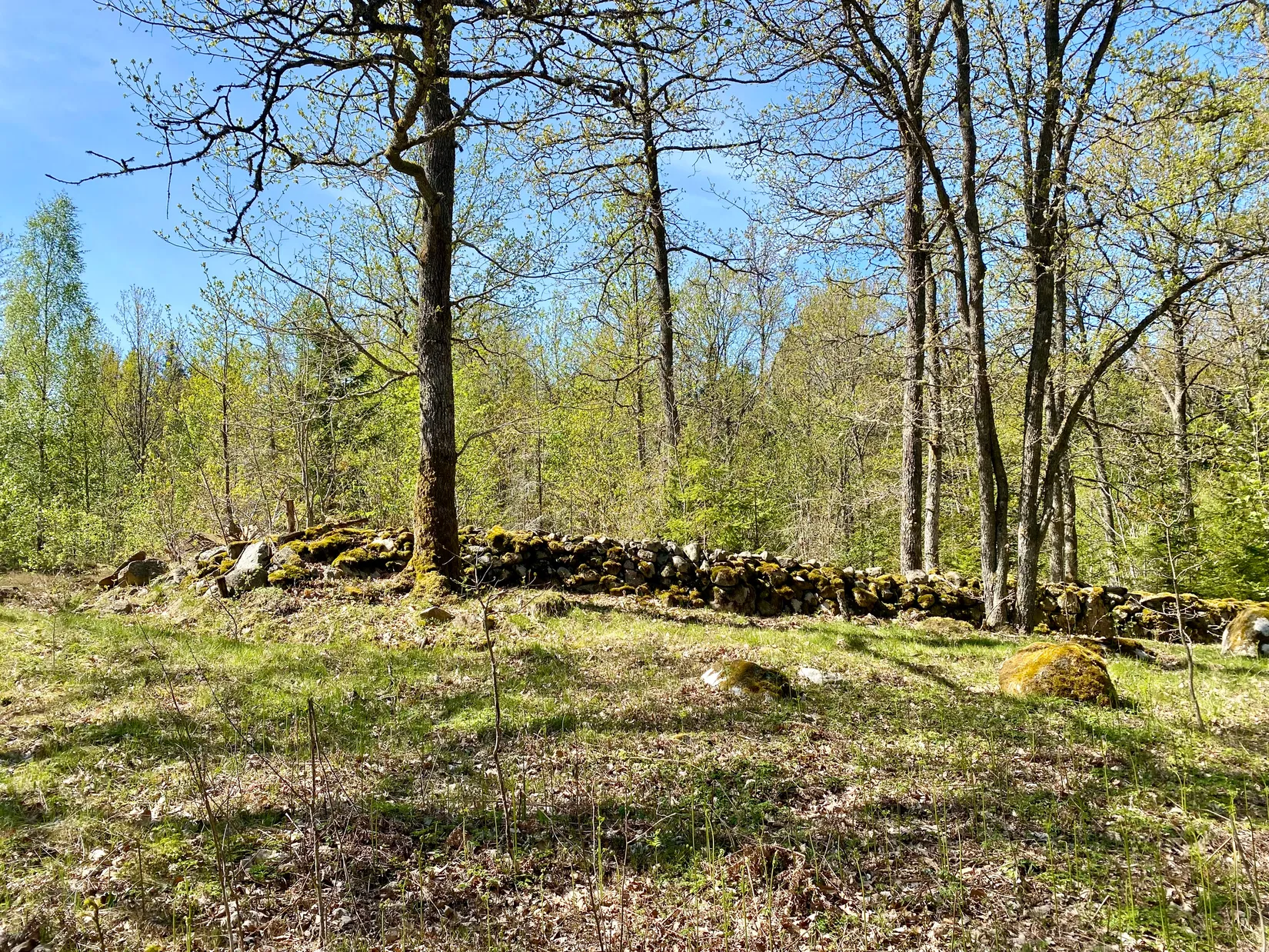 Tomt, Tillfälle att förvärva en tomt i Betet, Tingsryd., Tingsryd