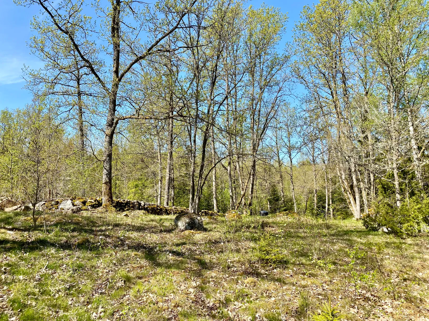 Tomt, Tillfälle att förvärva en tomt i Betet, Tingsryd., Tingsryd