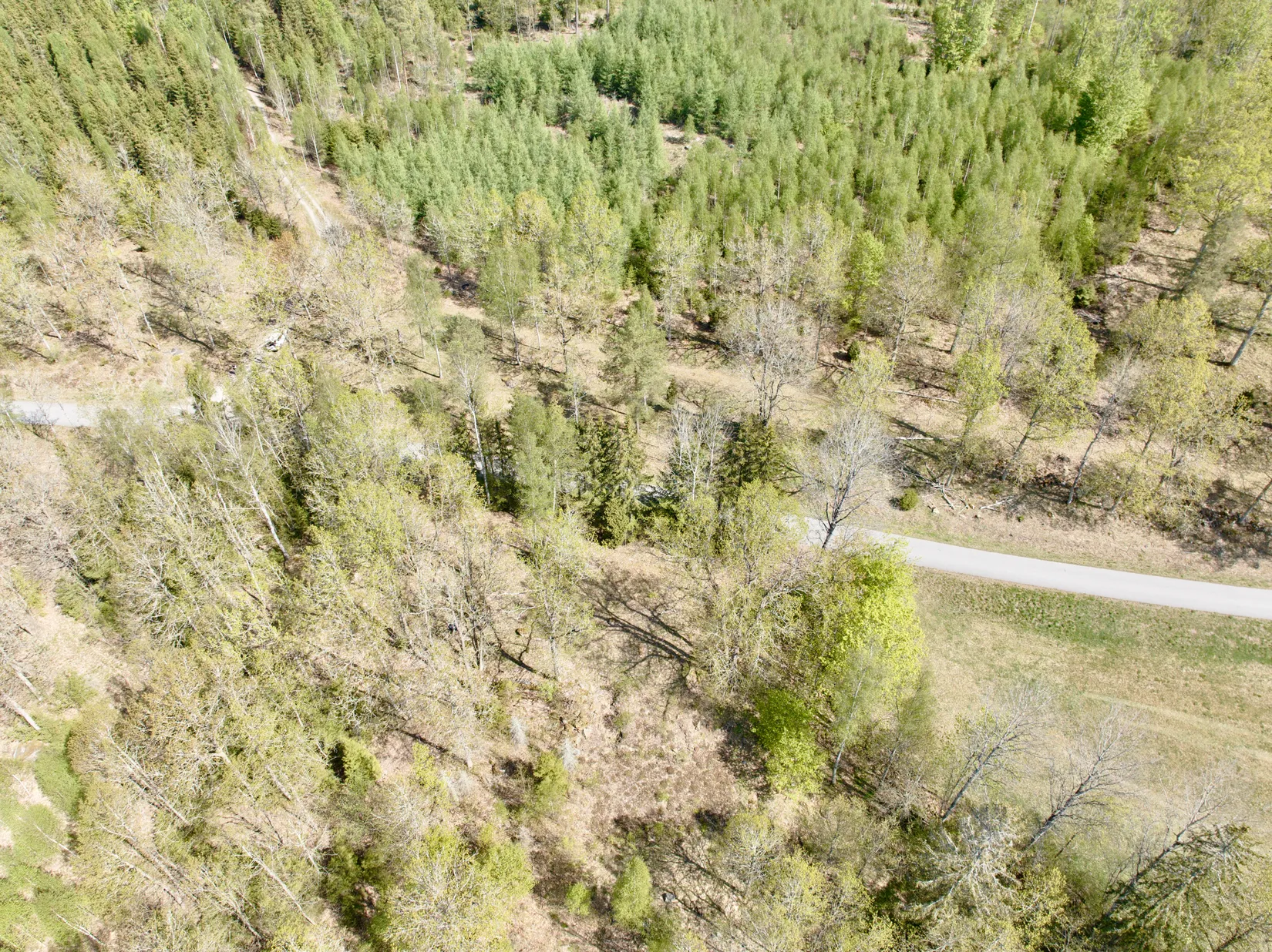 Tomt, Tillfälle att förvärva en tomt i Betet, Tingsryd., Tingsryd