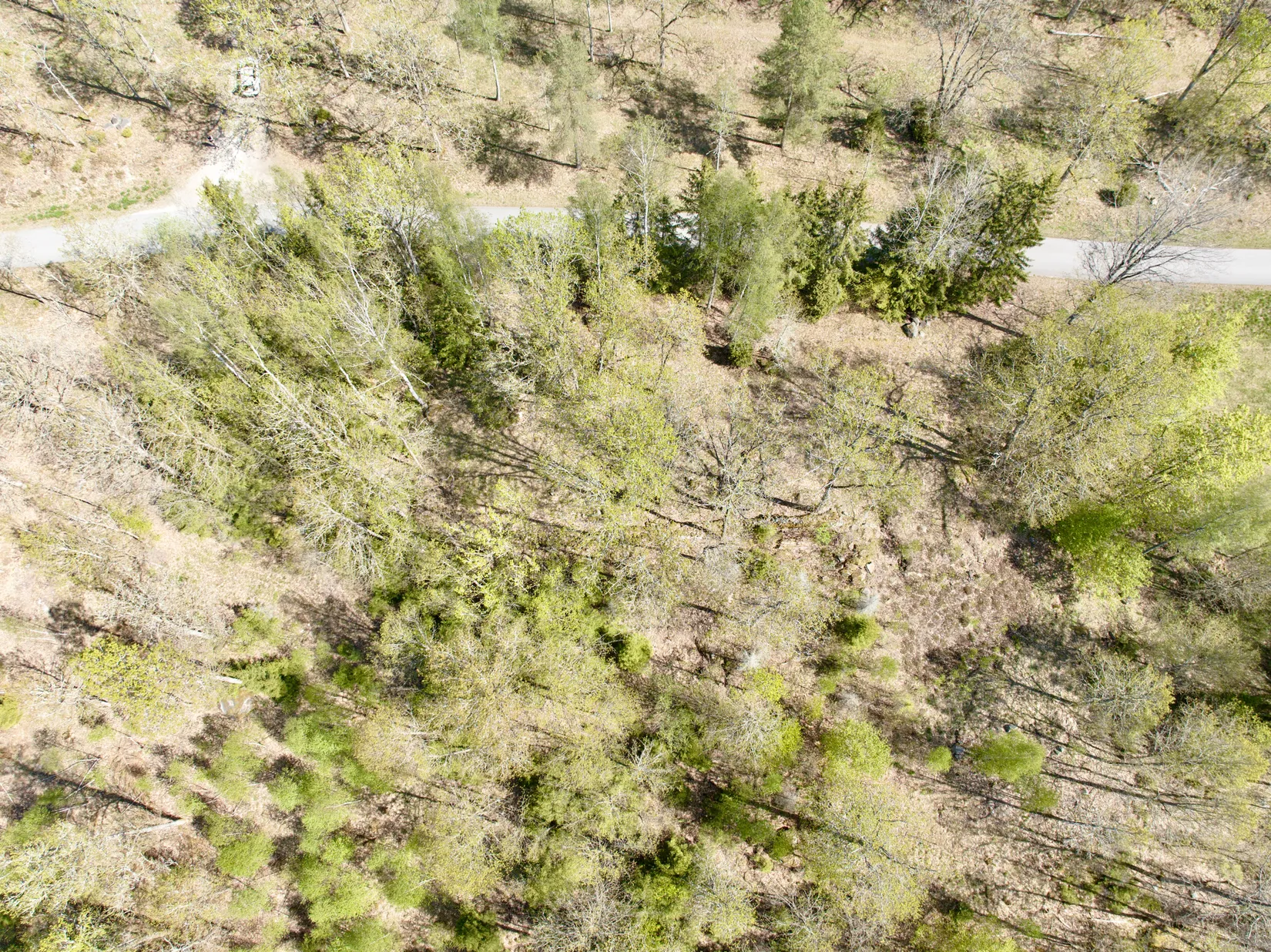 Tomt, Tillfälle att förvärva en tomt i Betet, Tingsryd., Tingsryd