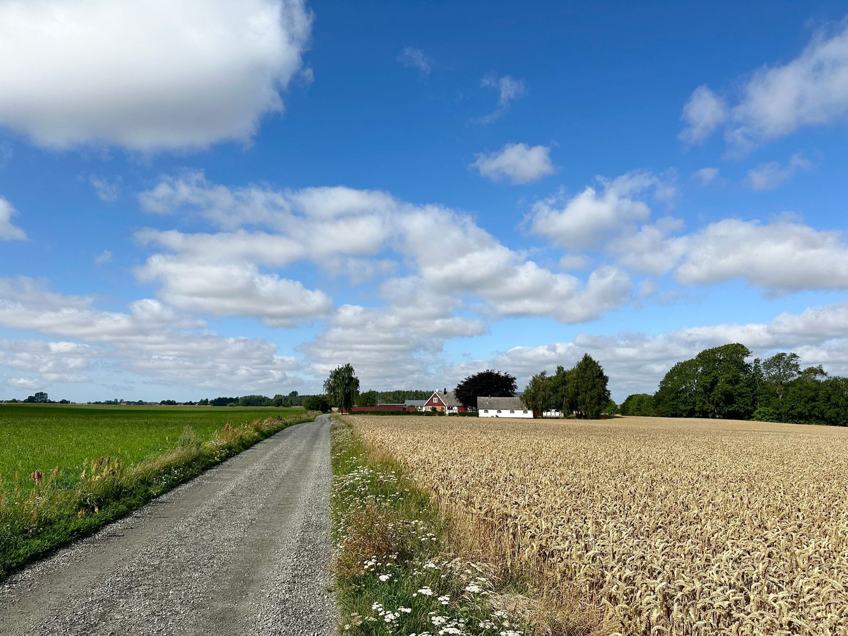 Villa, Björkängsvägen 16, Viarp, Simrishamn