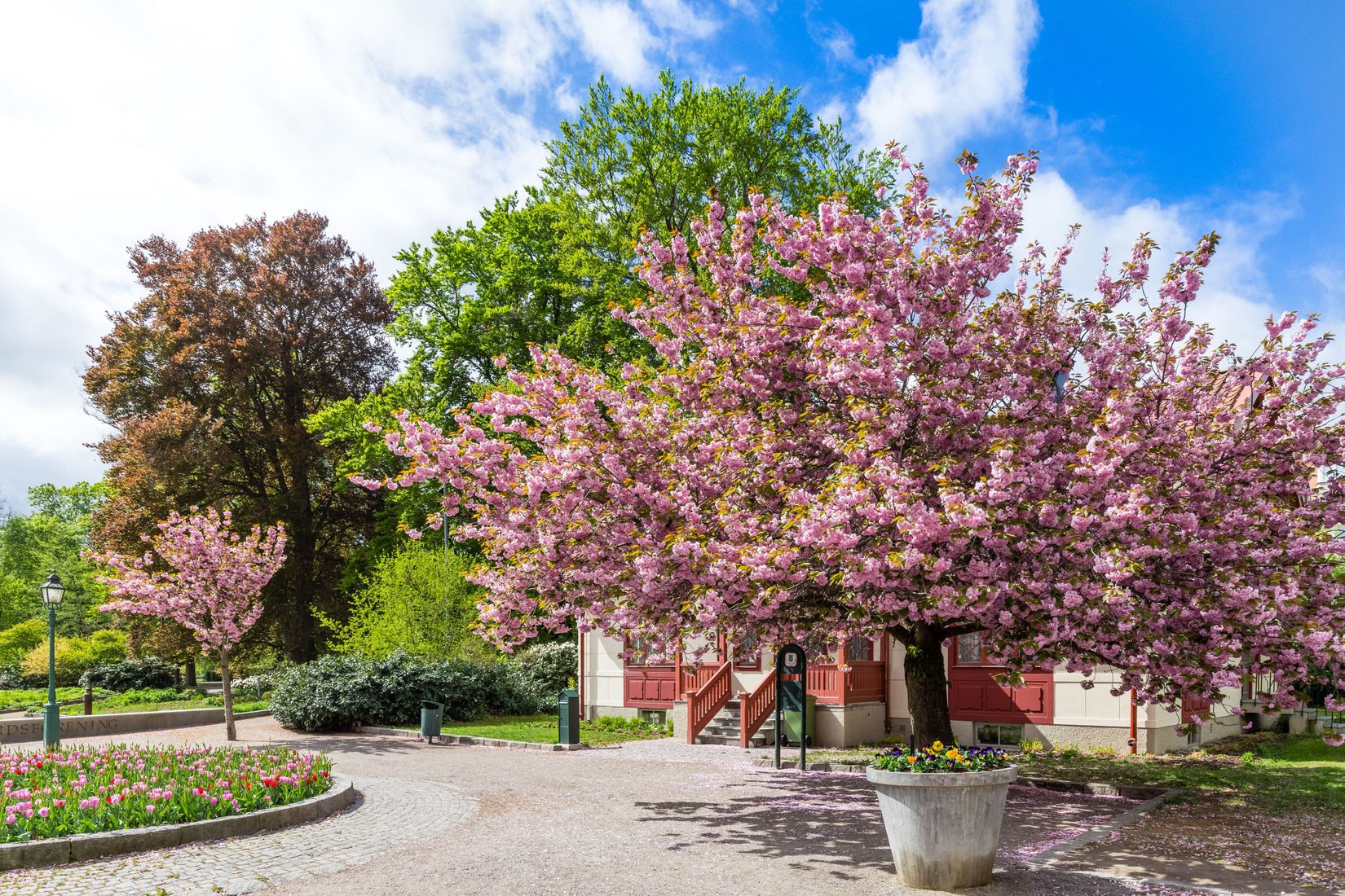 Bostadsrätt, Alvgatan 2, Centralt, Linköping