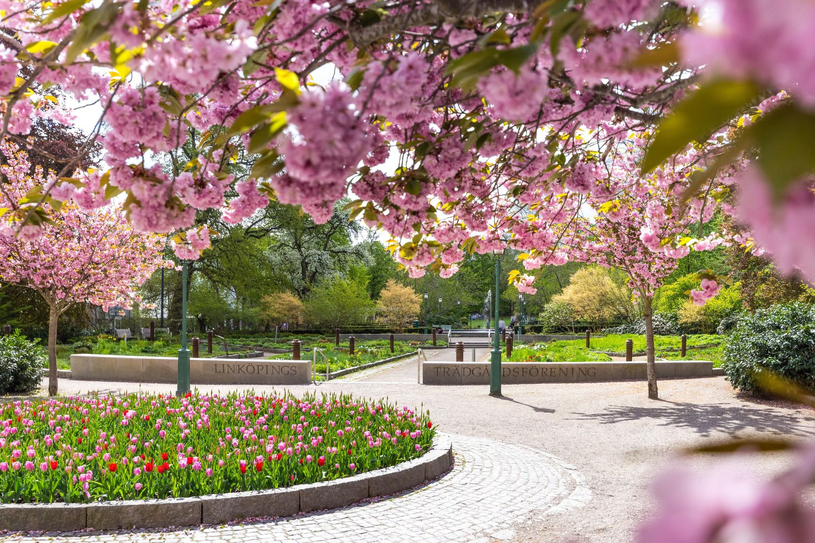 Bostadsrätt, Alvgatan 2, Centralt, Linköping