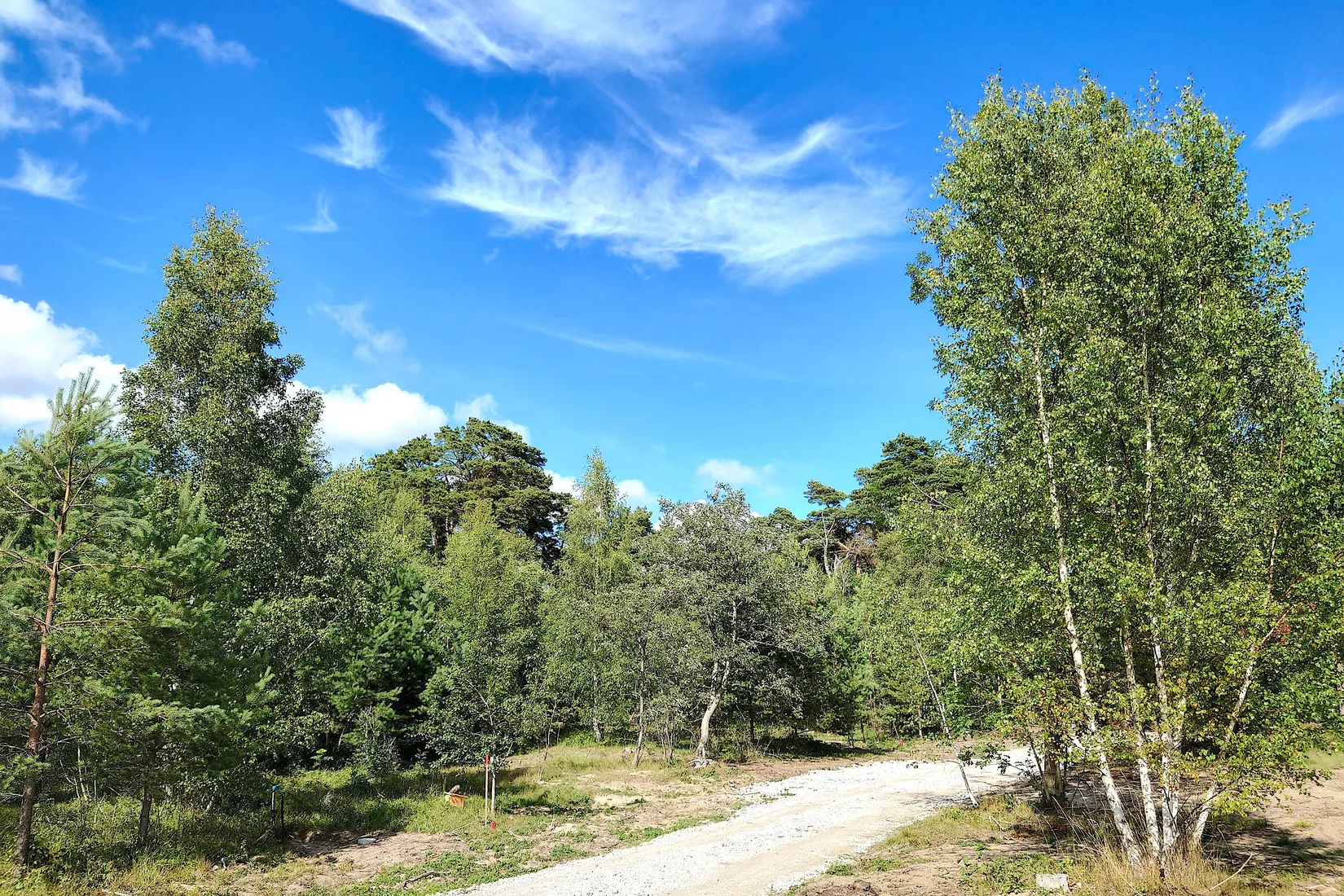 Tomt, Vamlingbo Austre, Vamlingbo, Gotland