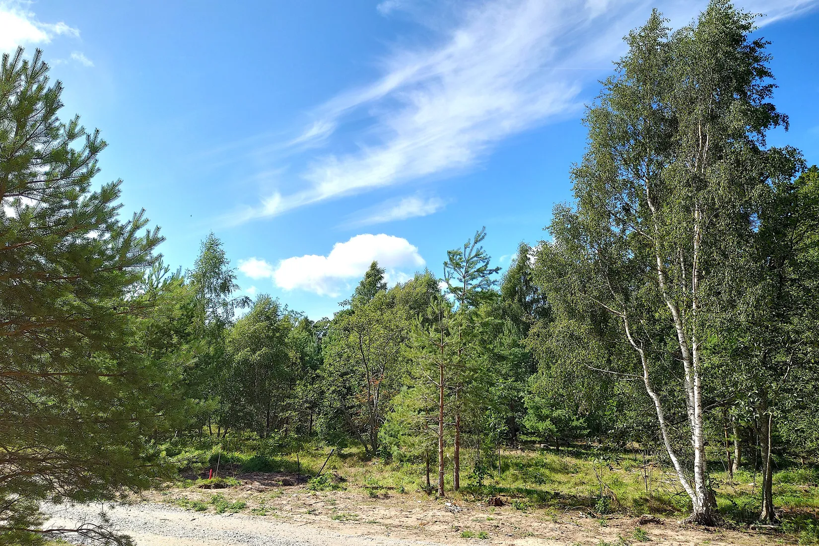 Tomt, Vamlingbo Austre, Vamlingbo, Gotland