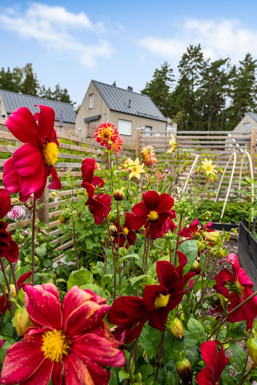 Bostadsrätt, Gropgärdesvägen 62, Ljusterö, Österåker