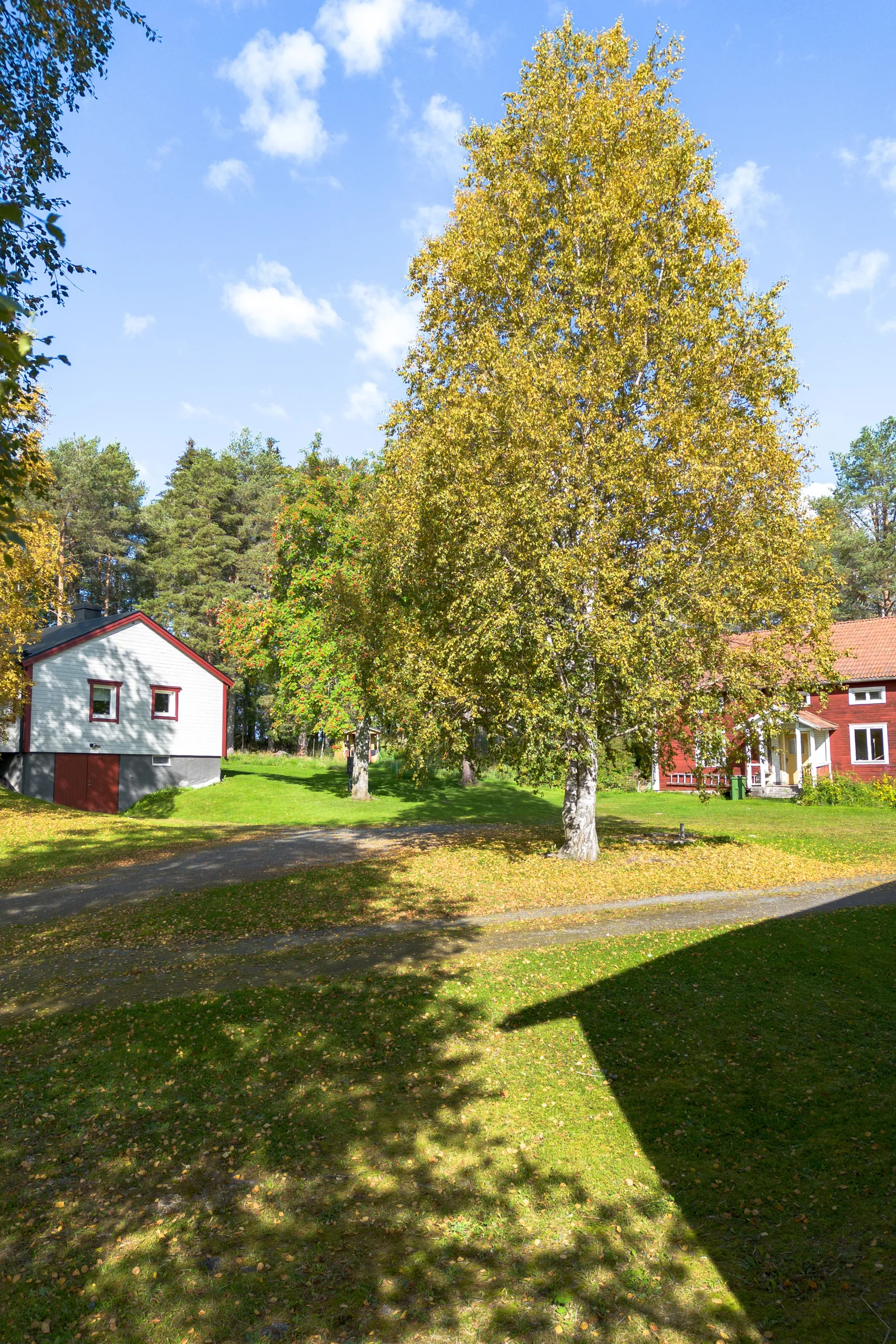 Gård/Skog, Österåsen 170, Häggenås, Östersund