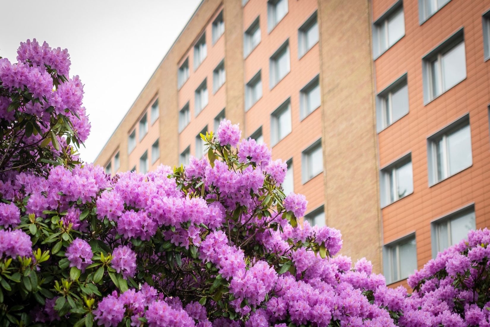 Bostadsrätt, Badvädersgatan 13, Biskopsgården, Göteborg