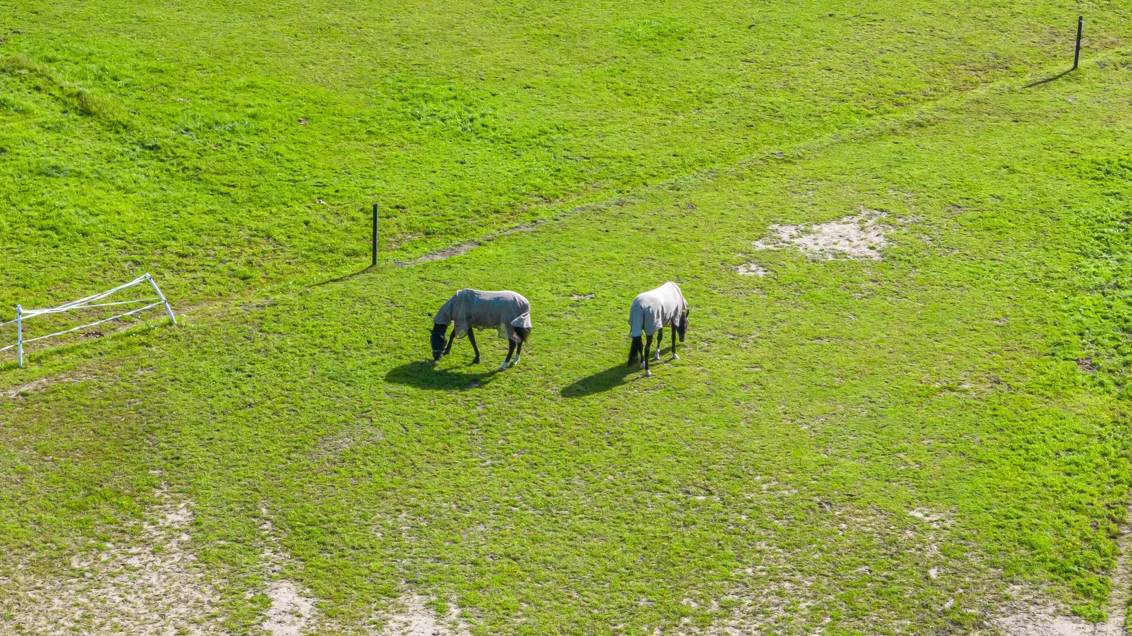 Gård/Skog, Mardal Norgård 1, Skee, Strömstad