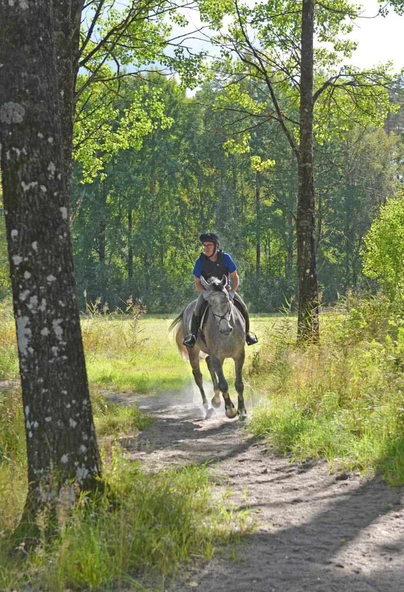 Gård/Skog, Mardal Norgård 1, Skee, Strömstad