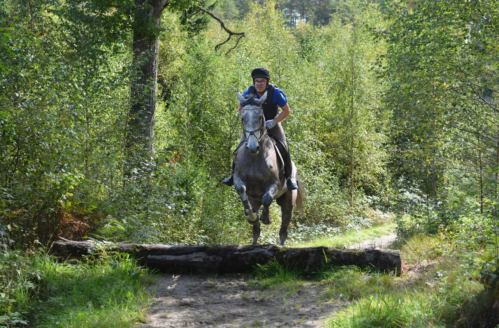 Gård/Skog, Mardal Norgård 1, Skee, Strömstad