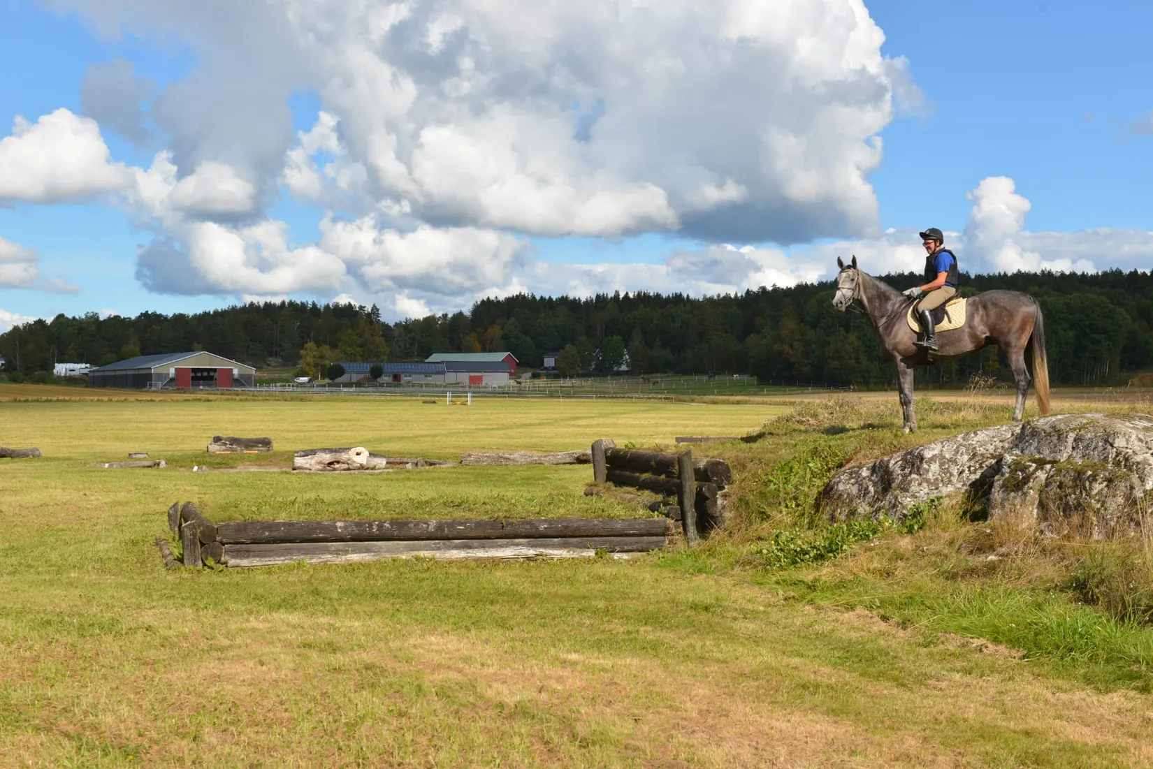 Gård/Skog, Mardal Norgård 1, Skee, Strömstad