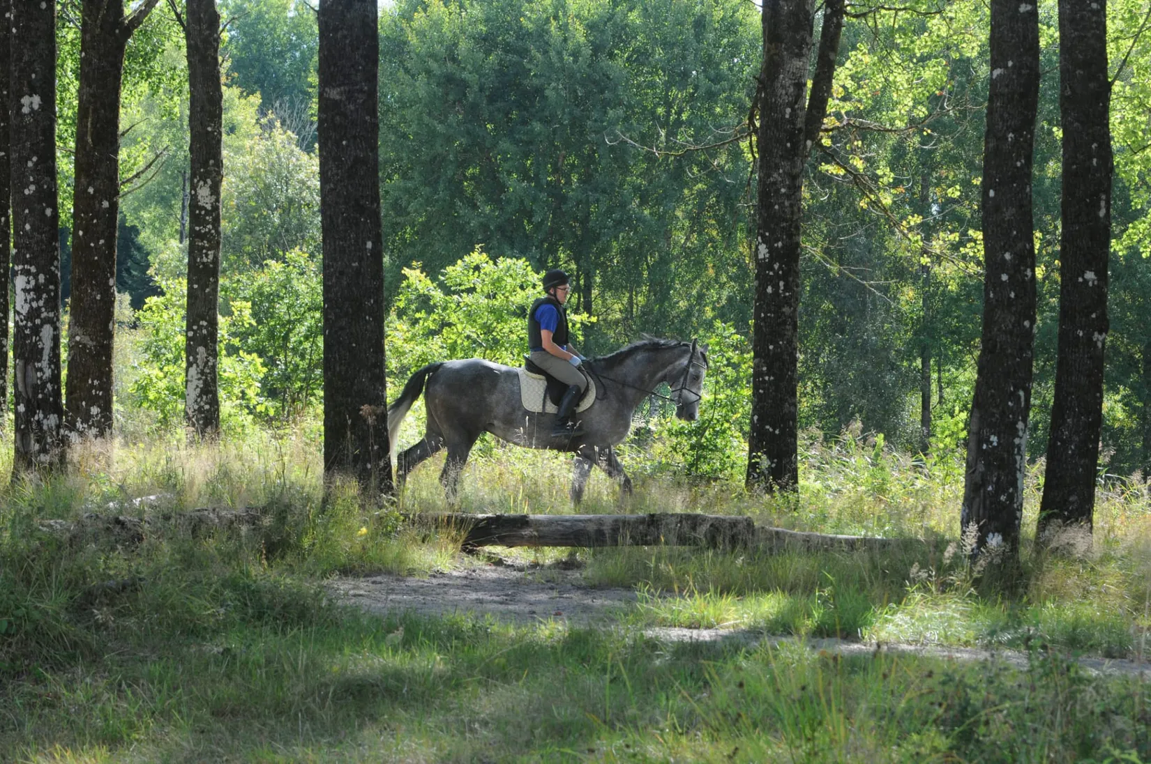 Gård/Skog, Mardal Norgård 1, Skee, Strömstad
