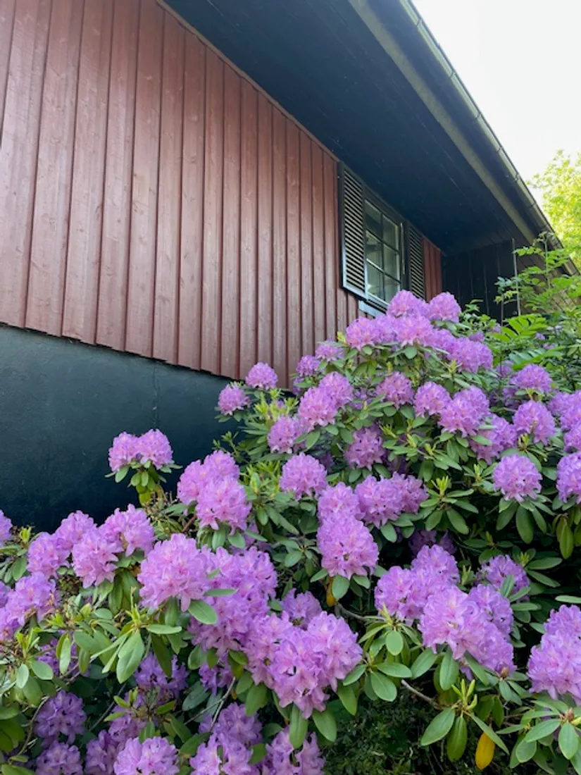 Villa, Lövgränd 4, Byttorp, Borås