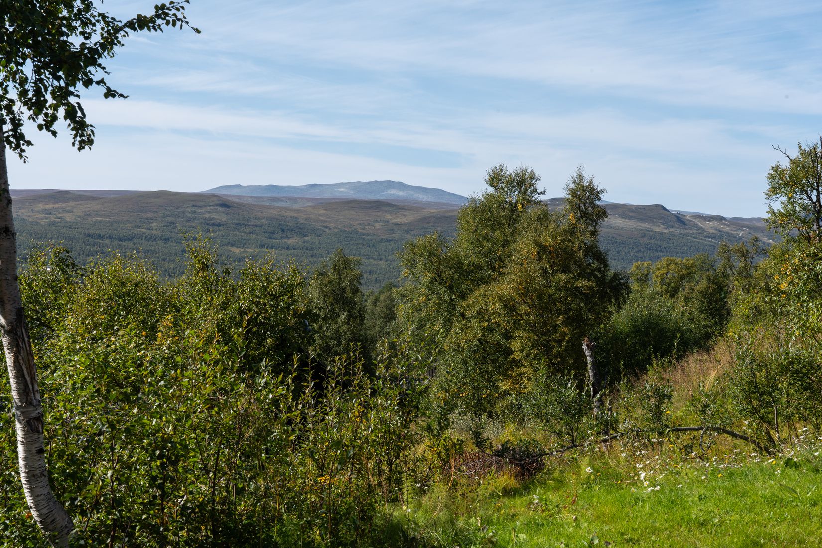 Fritidshus, Tänningevägen 118, Härjedalen