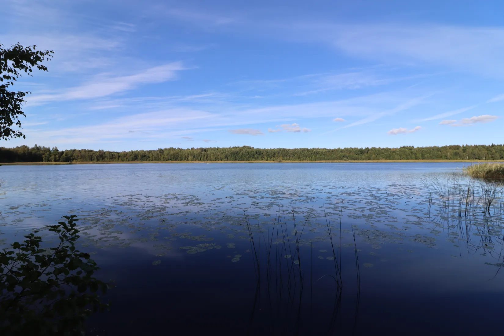 Gård/Skog, Smihagsvägen 19, Edebo, Norrtälje
