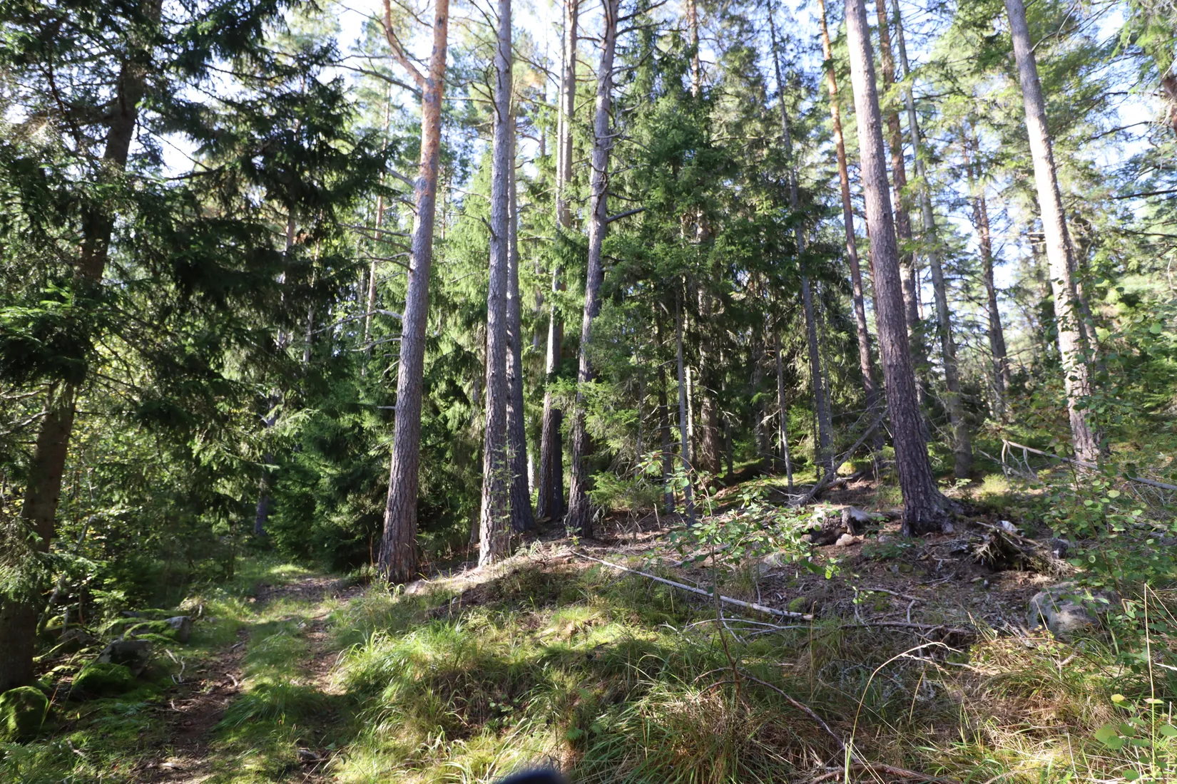 Gård/Skog, Smihagsvägen 19, Edebo, Norrtälje