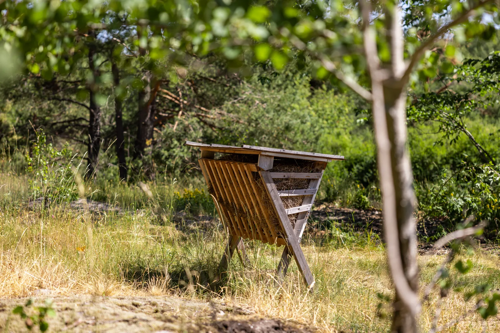 Villa, Förmansvägen 5, Mensättra, Nacka