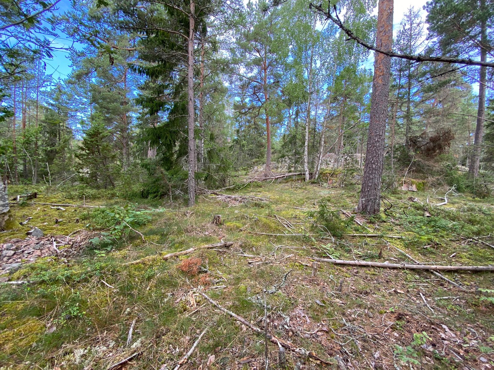 Tomt, Artursviken 14A, Singö Norrvreta, Norrtälje