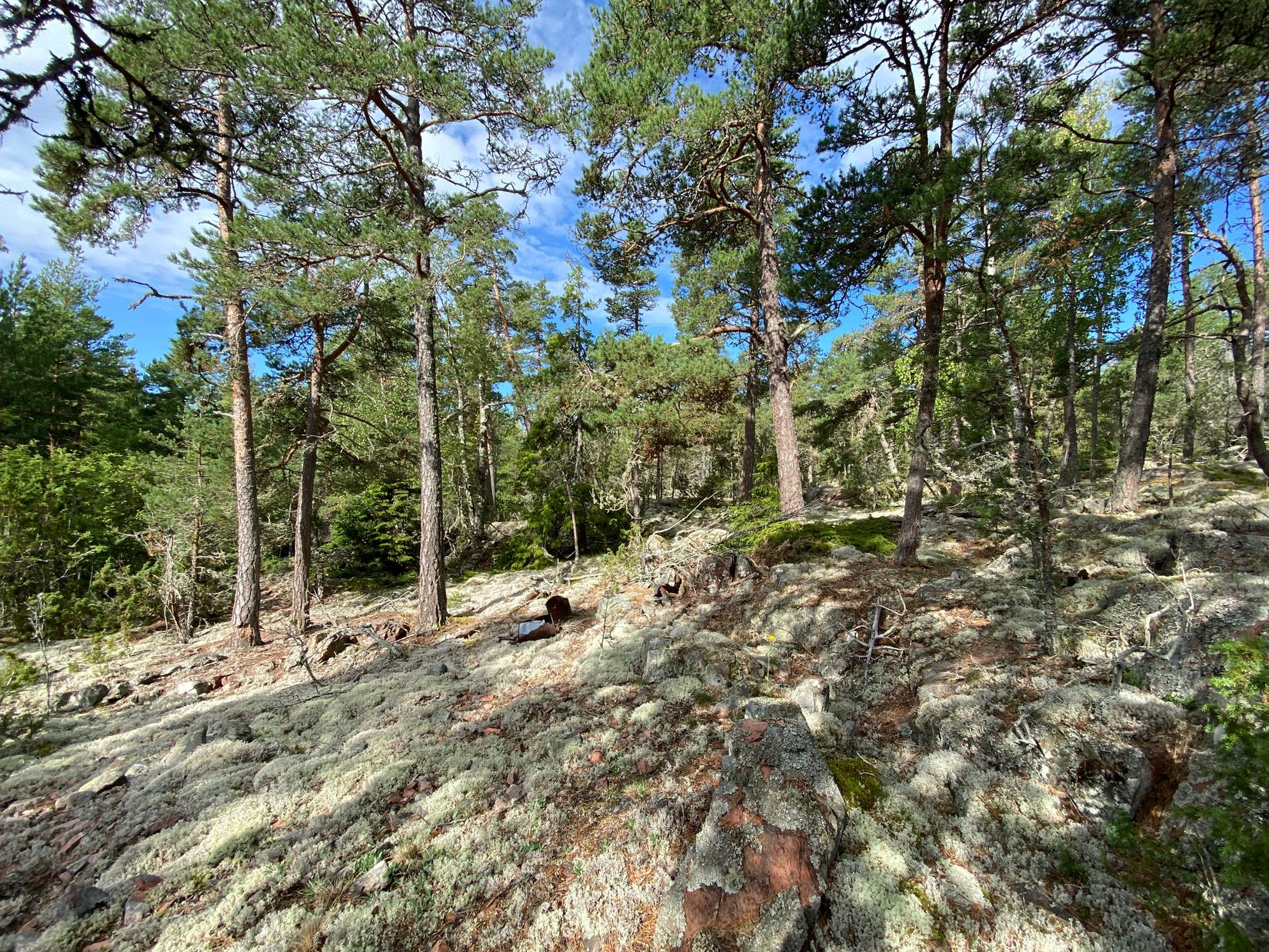 Tomt, Artursviken 14A, Singö Norrvreta, Norrtälje