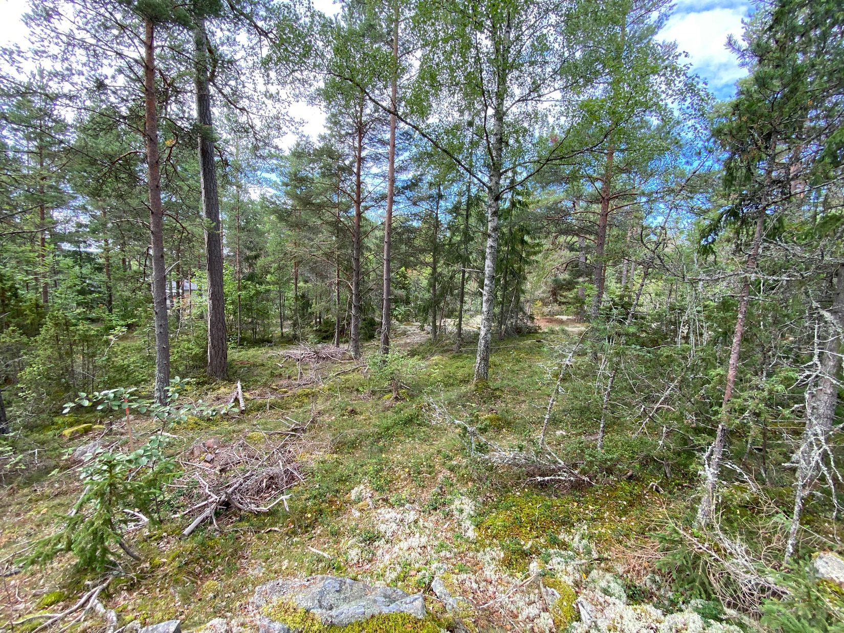 Tomt, Artursviken 14A, Singö Norrvreta, Norrtälje