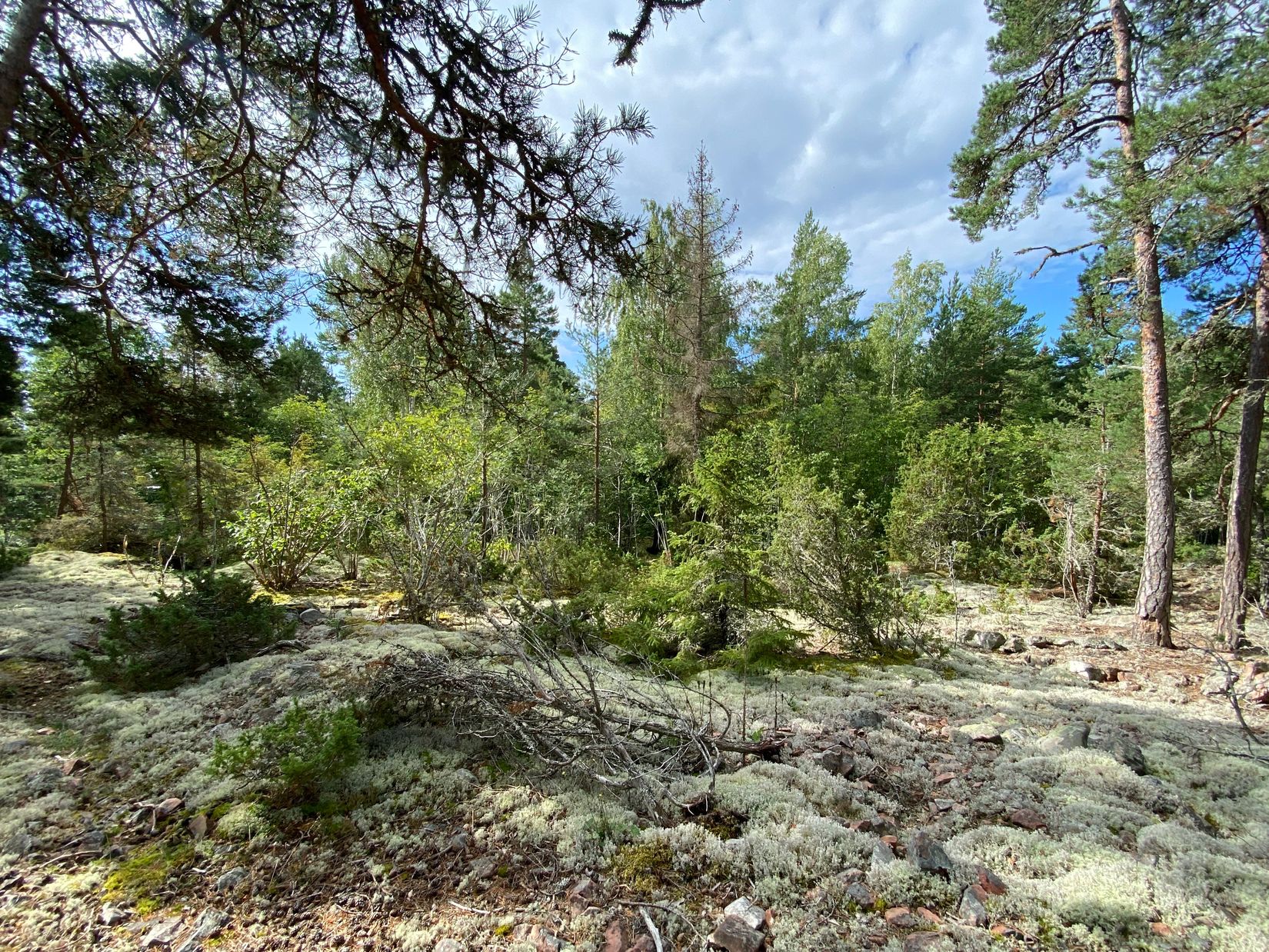 Tomt, Artursviken 14A, Singö Norrvreta, Norrtälje