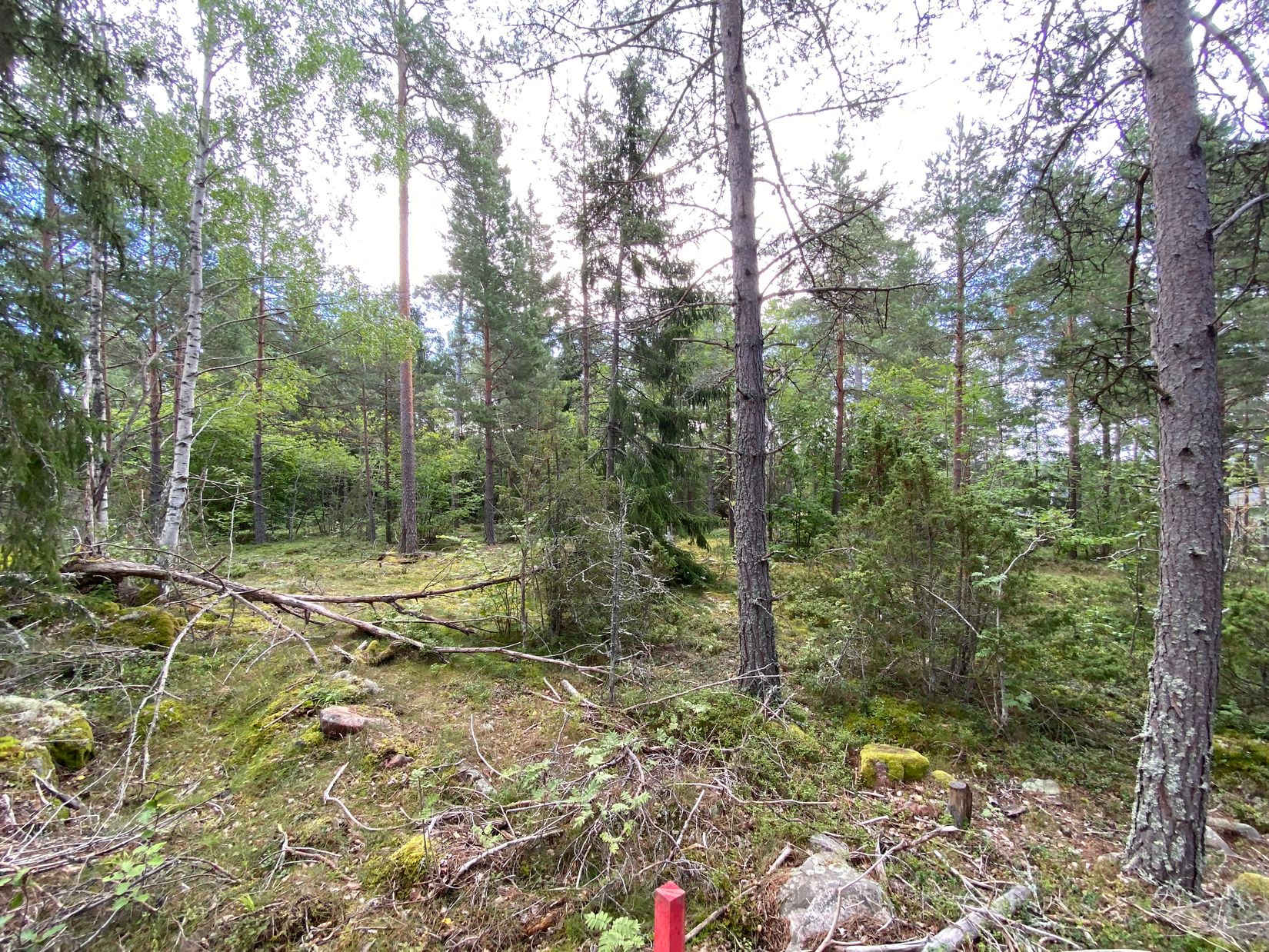 Tomt, Artursviken 14A, Singö Norrvreta, Norrtälje